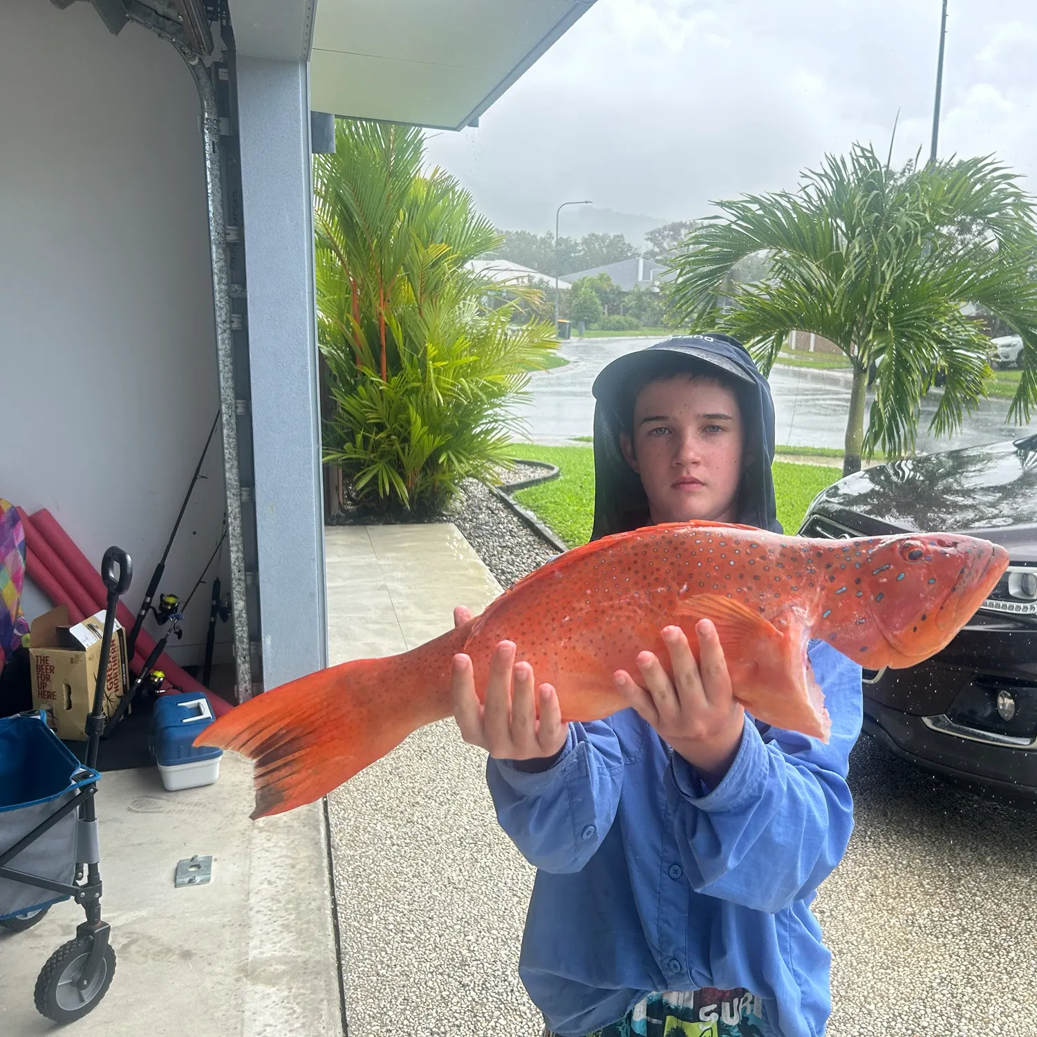 The most recent Leopard coralgrouper catches on Fishbrain