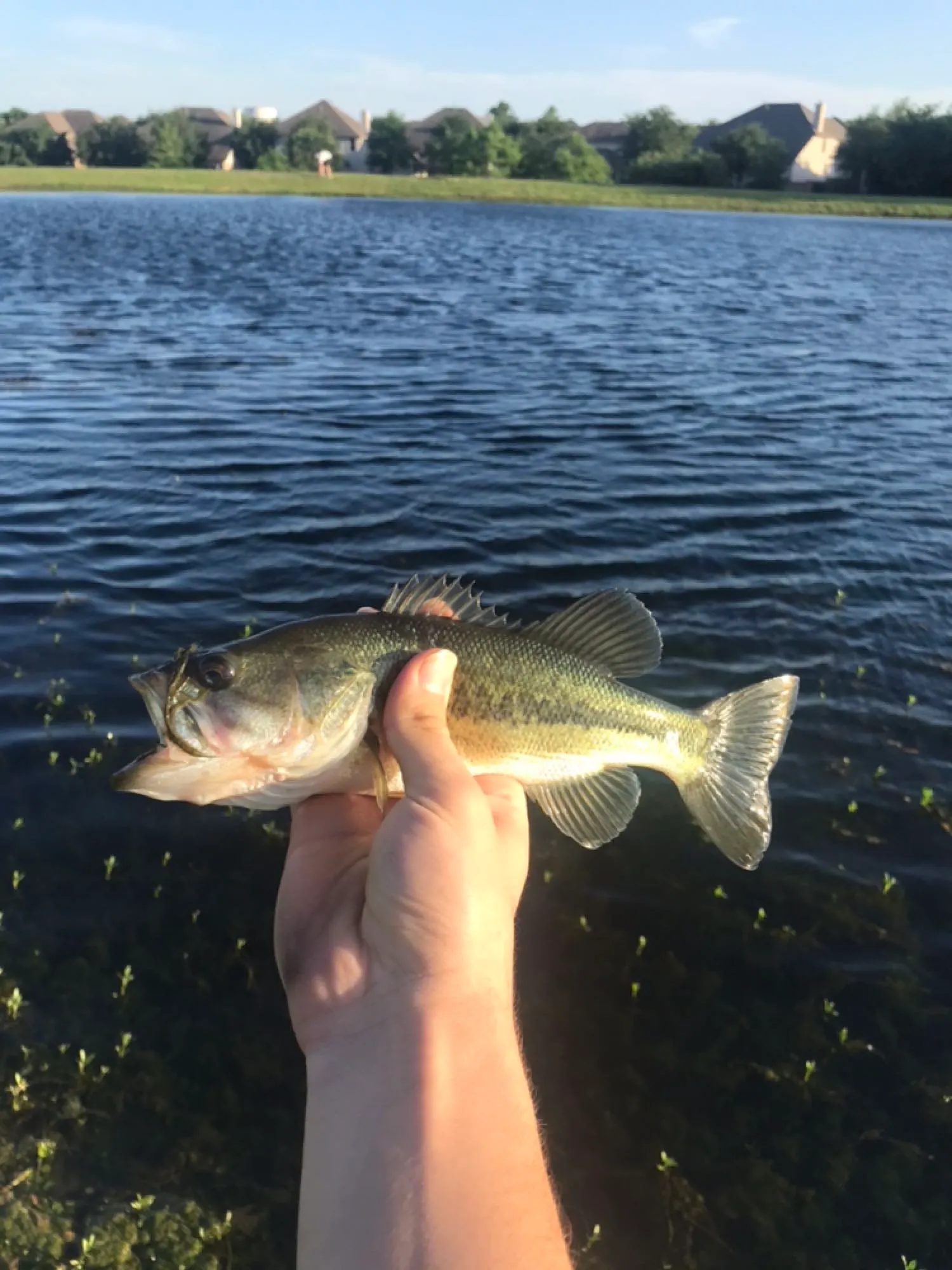 Post image from szgadzaj