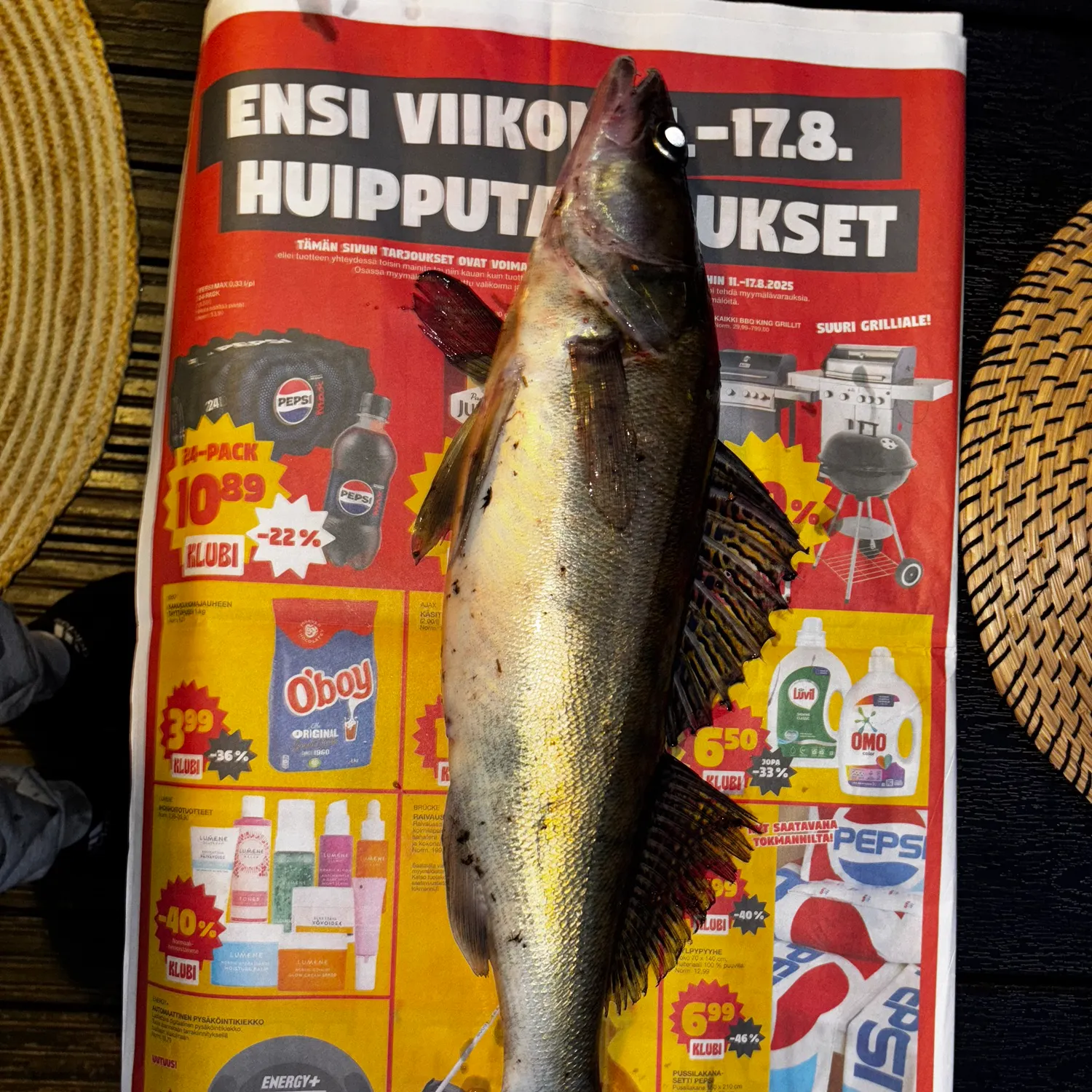 recently logged catches