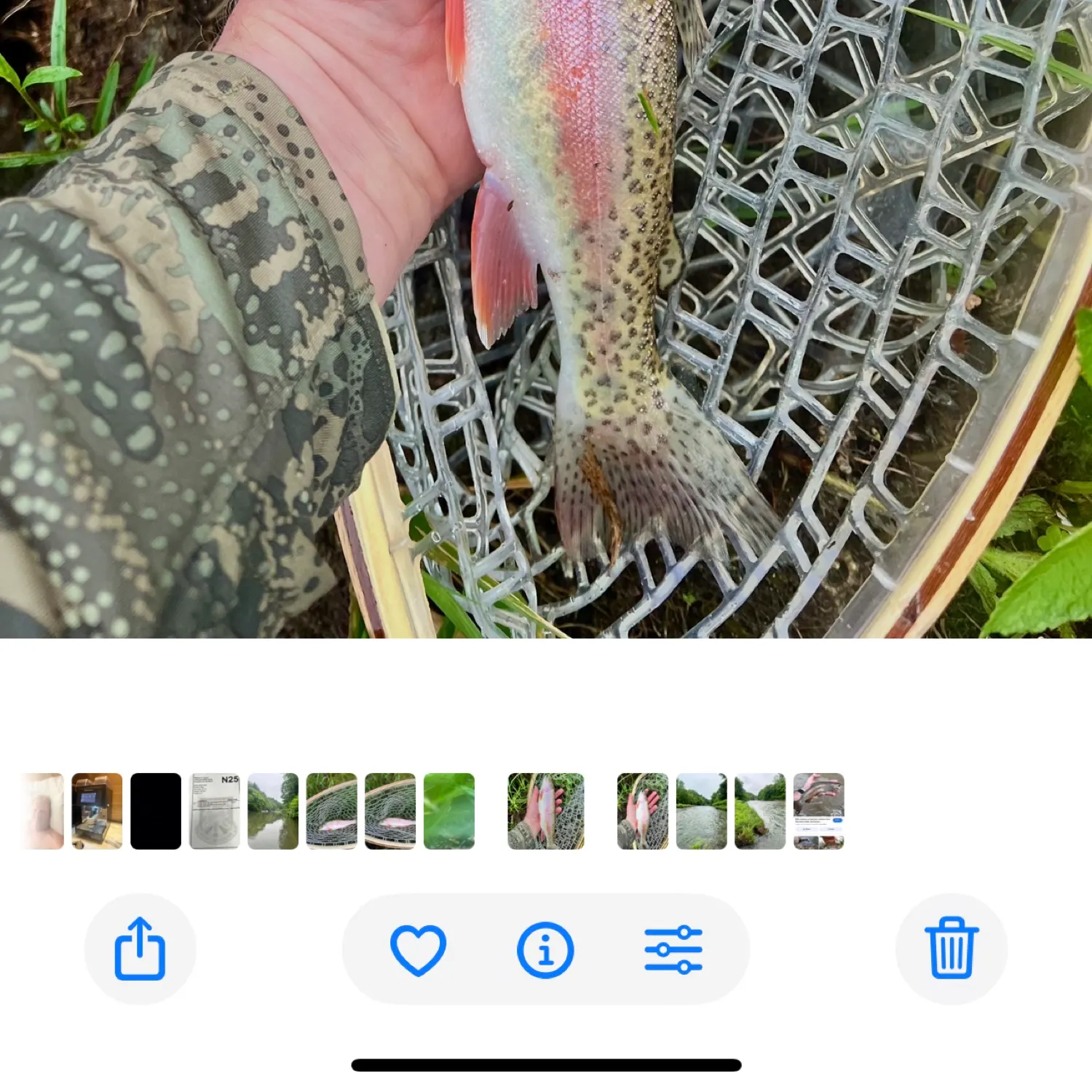 recently logged catches