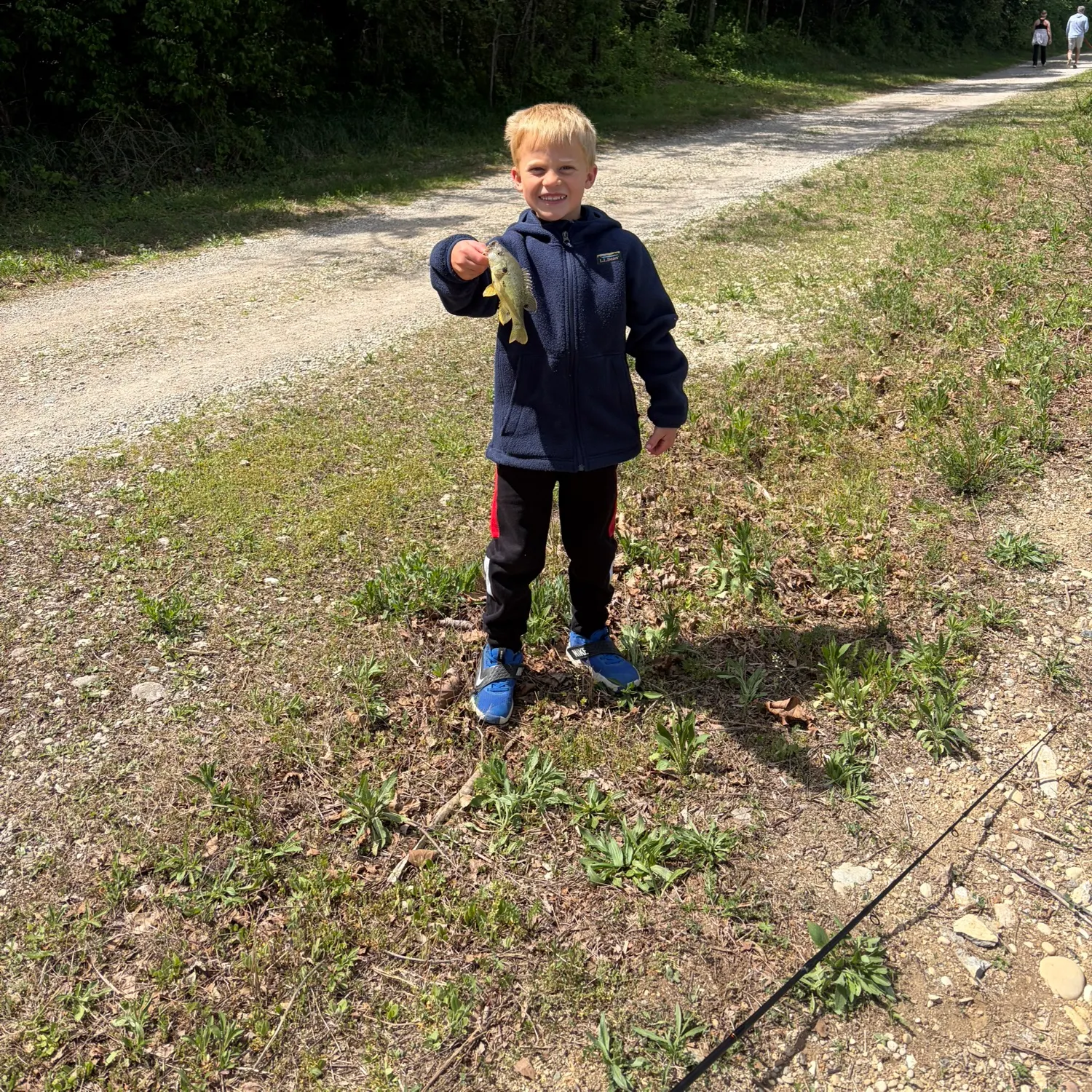 The most recent Pumpkingill hybrid catches on Fishbrain