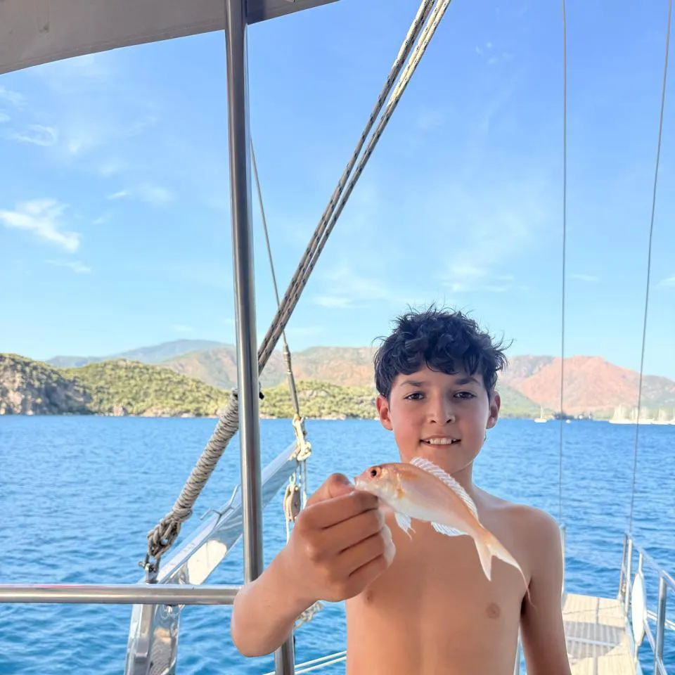 The most recent Red seabream catches on Fishbrain