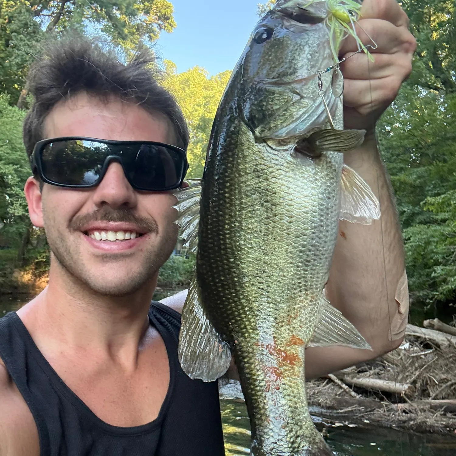 Largemouth bass caught on Fishbrain
