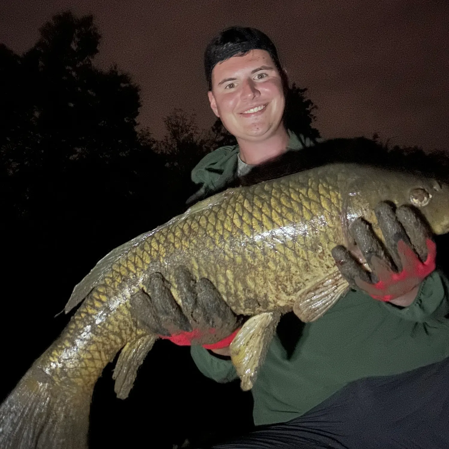 Common carp caught on Fishbrain