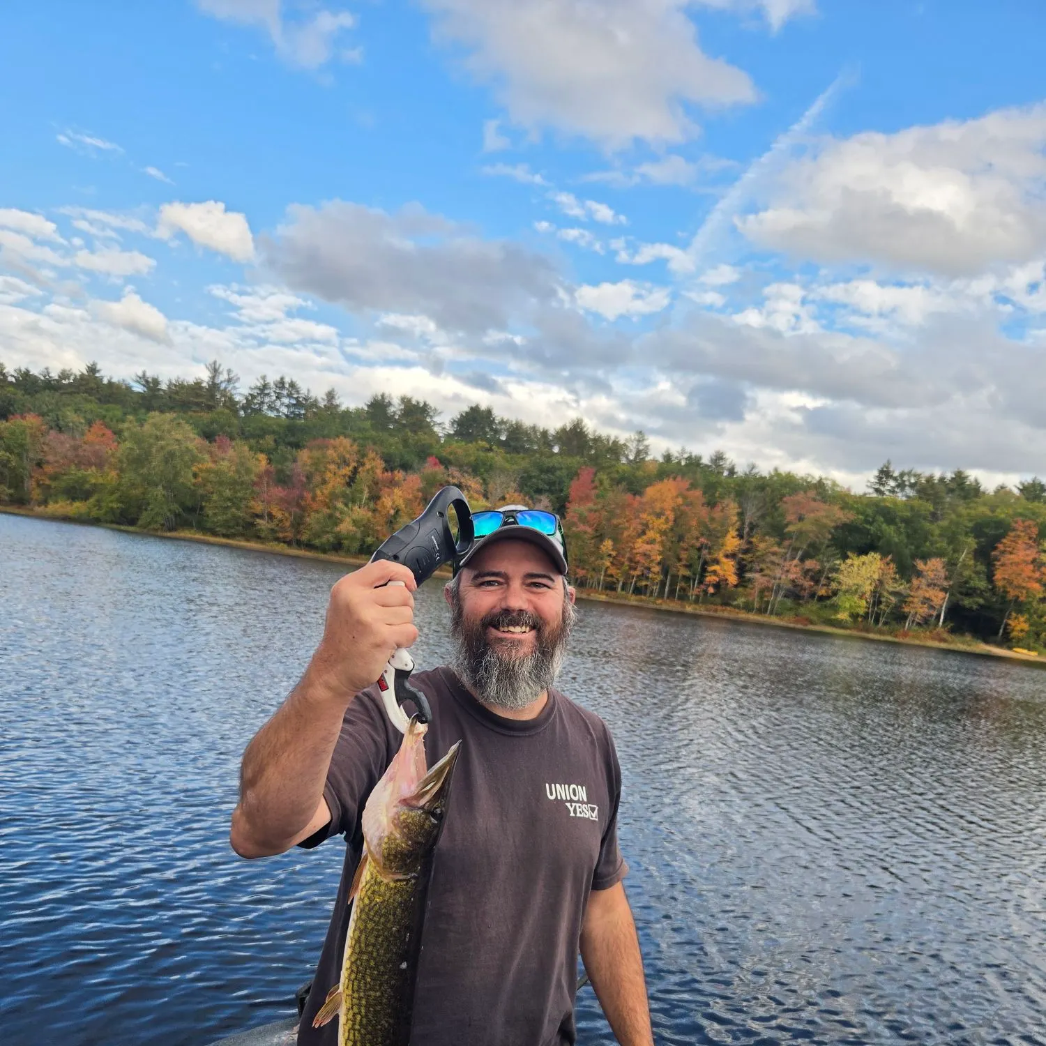 Chain pickerel caught on Fishbrain