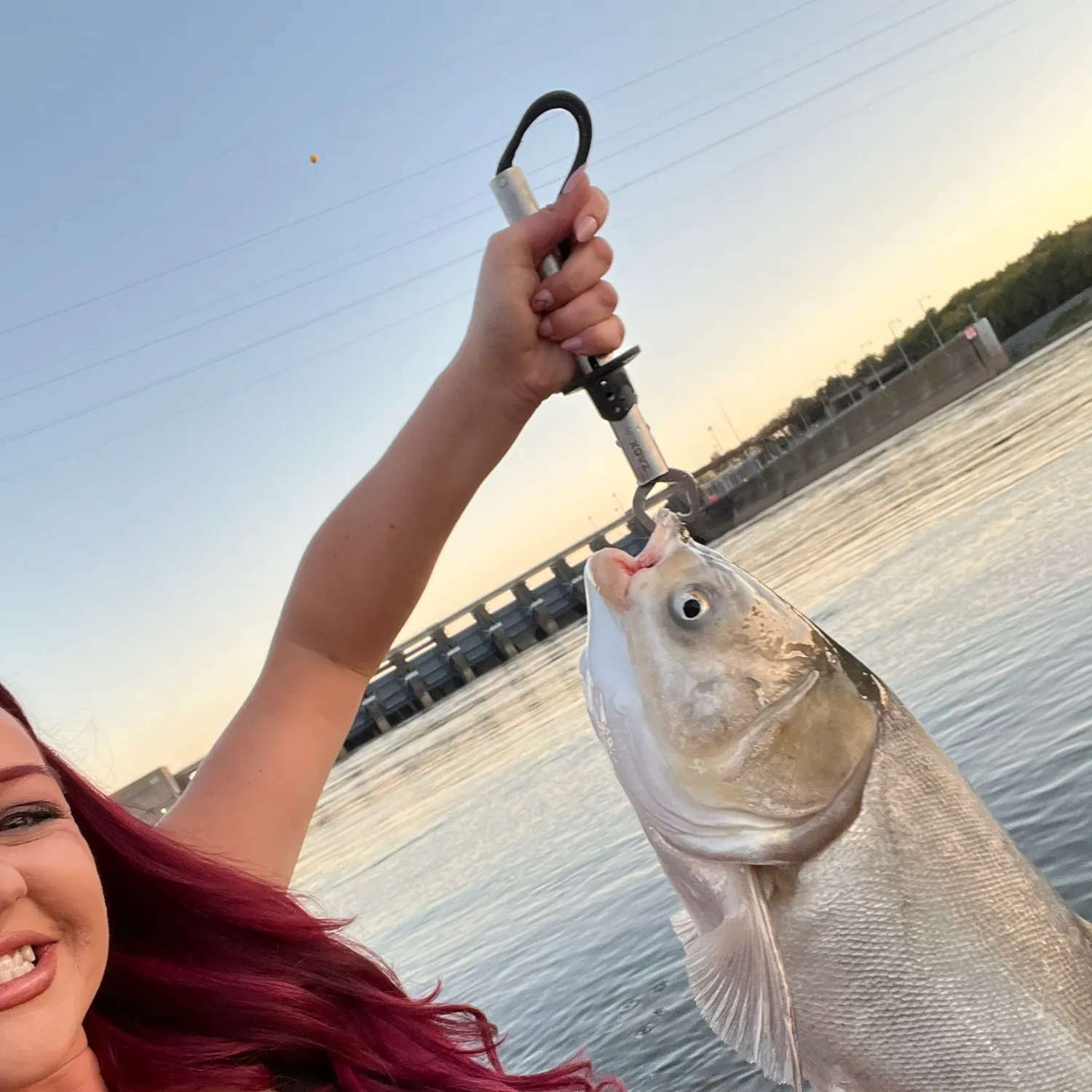 The most recent Silver carp catches on Fishbrain