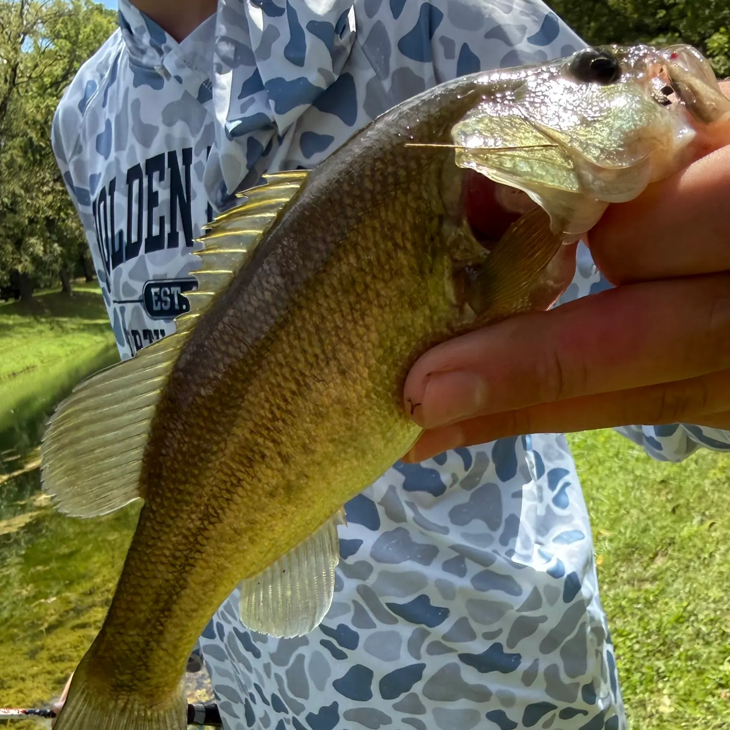 Largemouth bass caught on Fishbrain