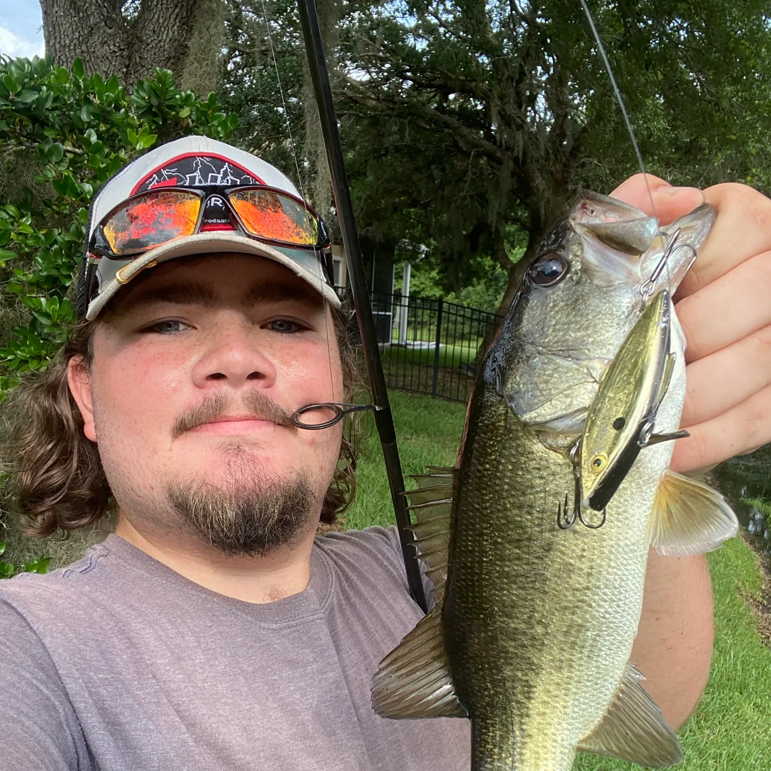 The most recent Florida bass catches on Fishbrain