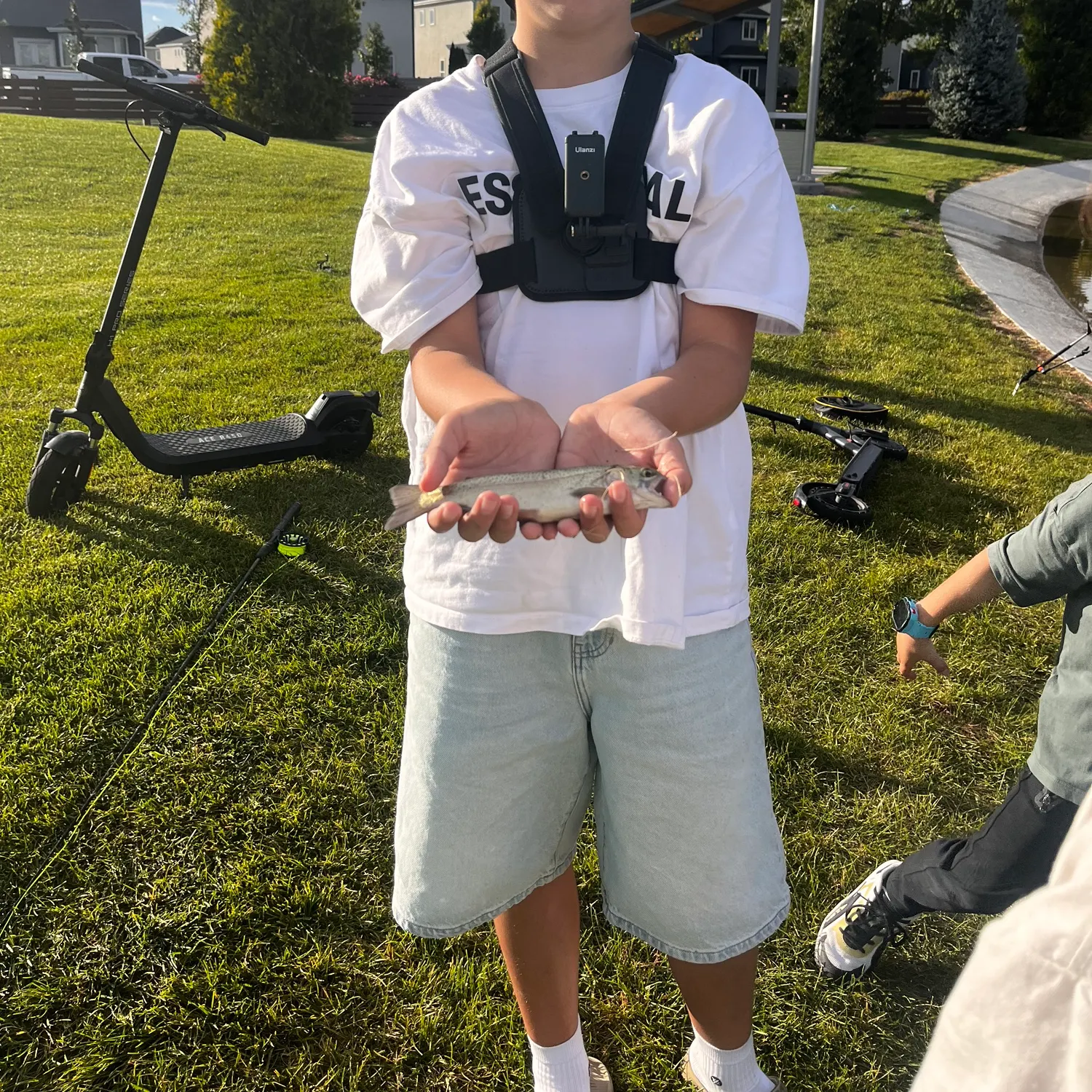 Rainbow trout caught on Fishbrain