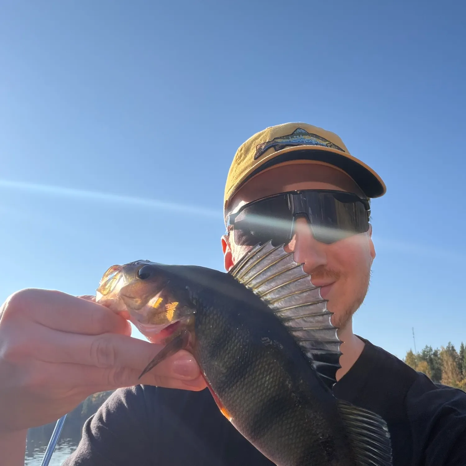 European perch caught on Fishbrain