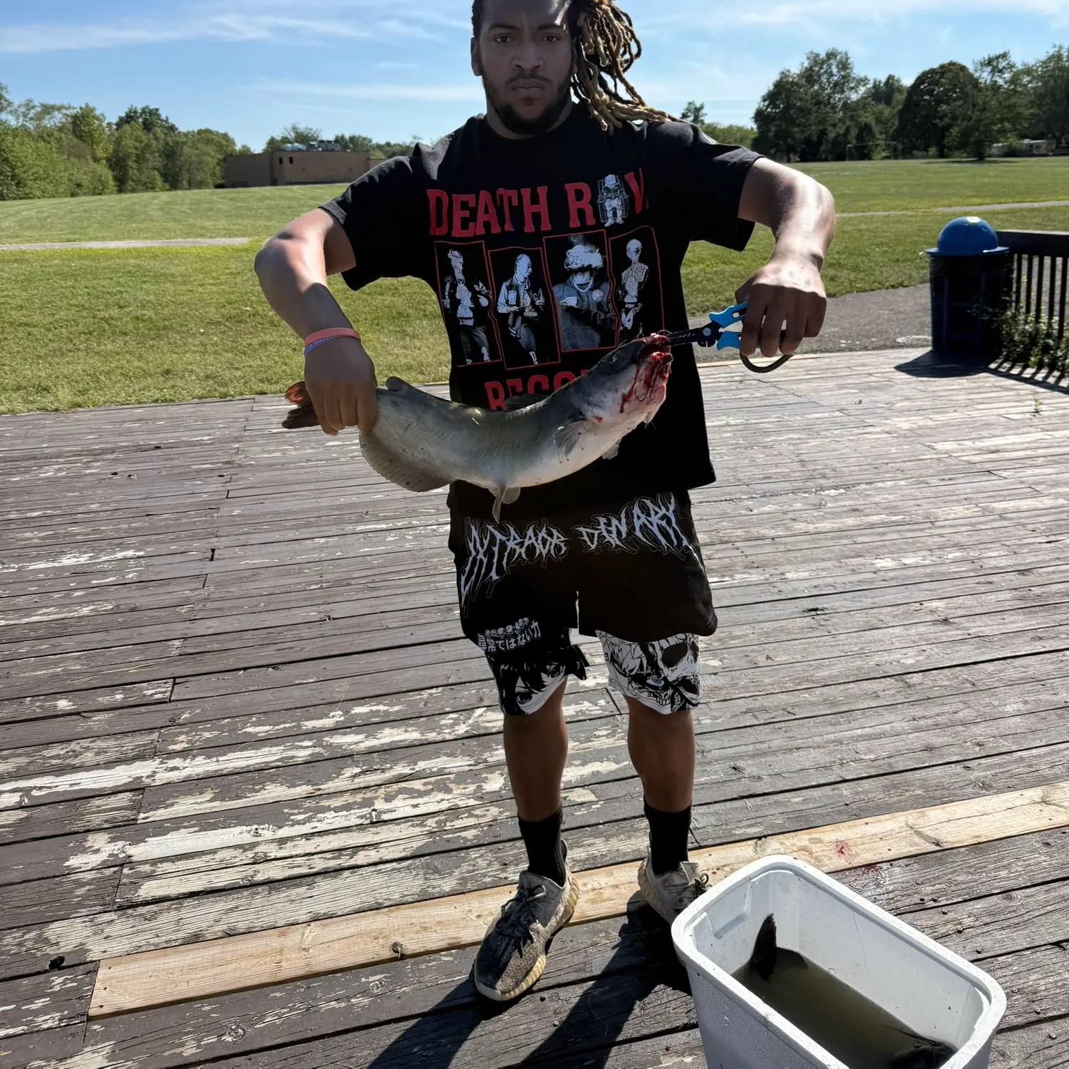 Channel catfish caught on Fishbrain