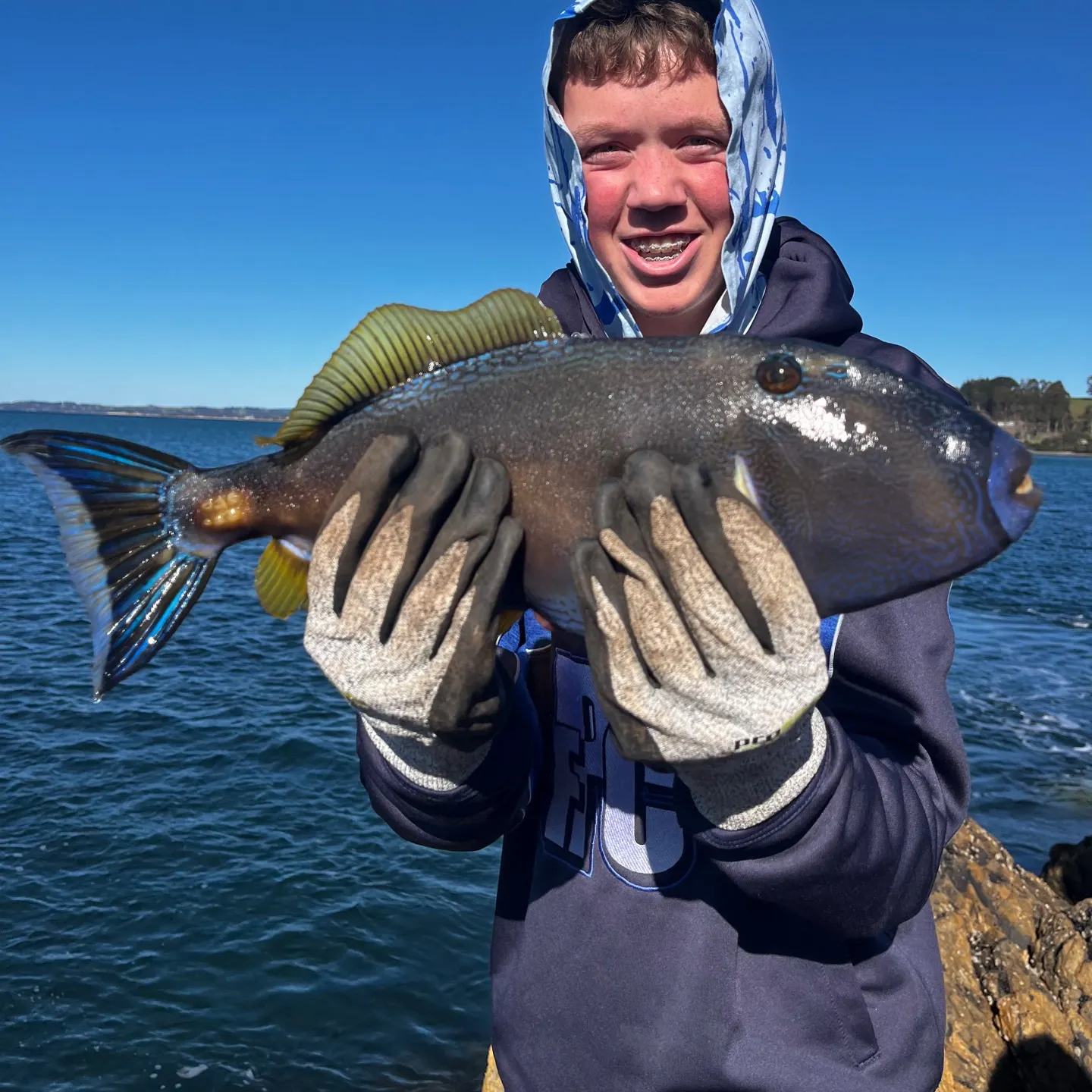 The most recent Unicorn leatherjacket filefish catches on Fishbrain