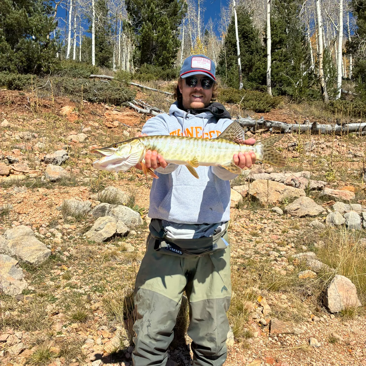 Tiger muskie caught on Fishbrain