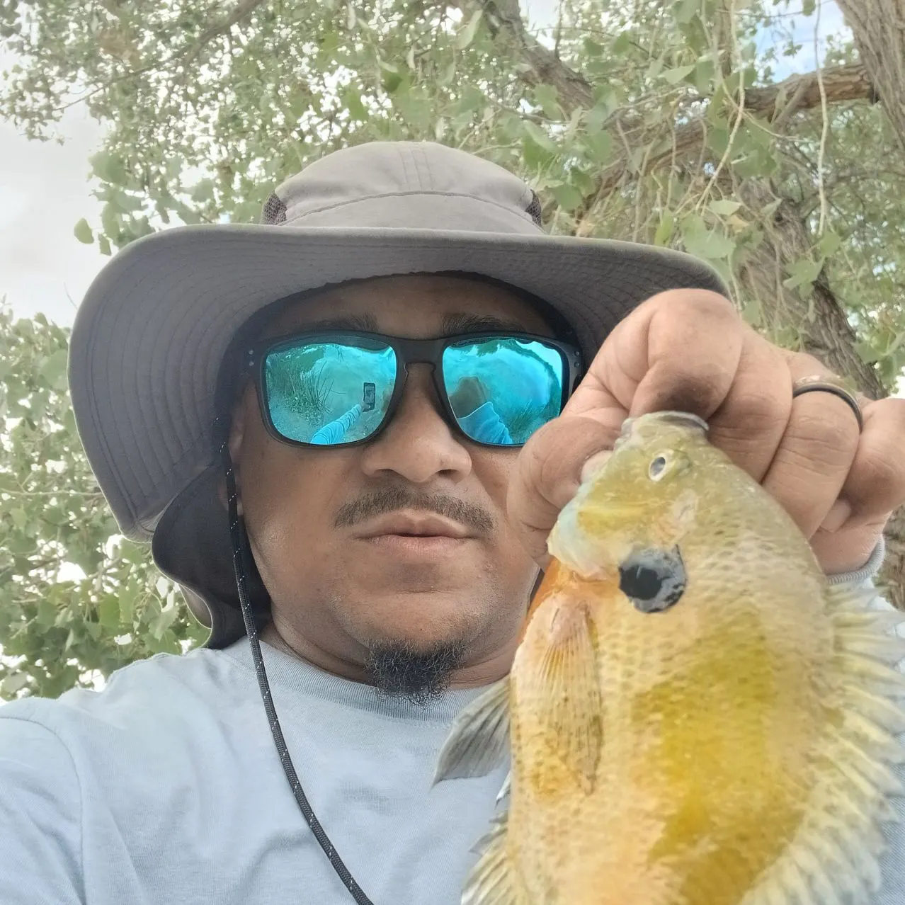 The most recent Redbreast sunfish x bluegill catches on Fishbrain