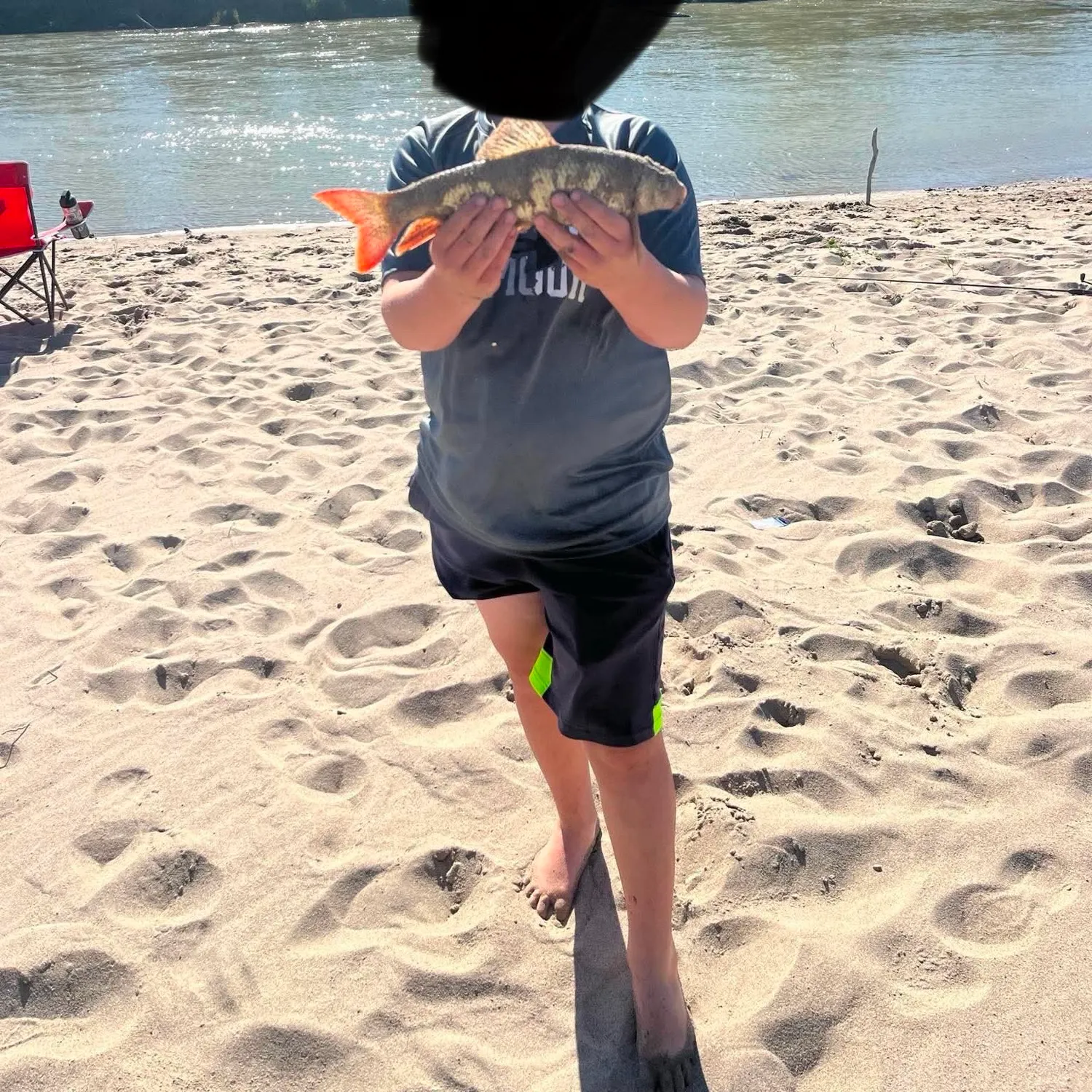The most recent Greater redhorse catches on Fishbrain