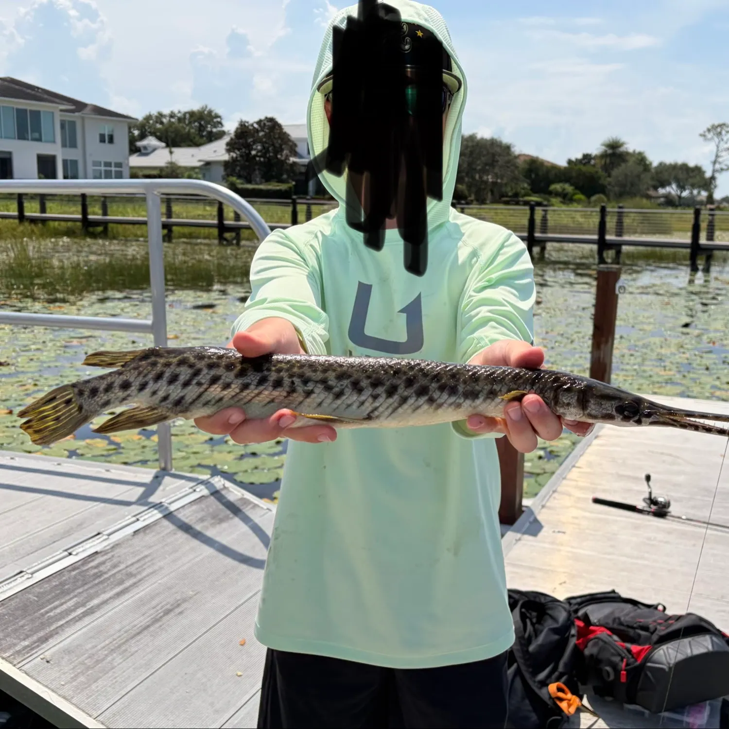 Florida gar caught on Fishbrain