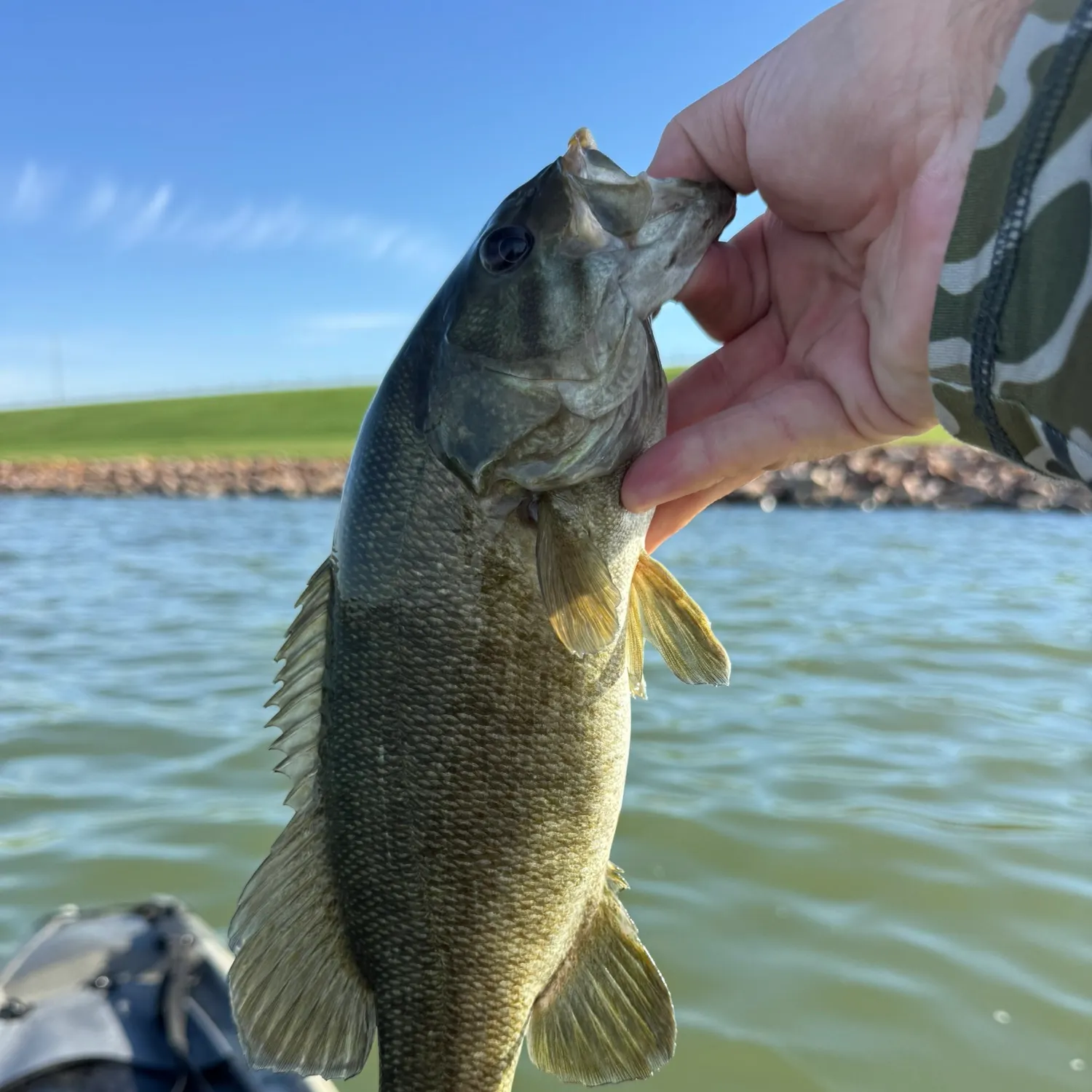 Smallmouth bass caught on Fishbrain