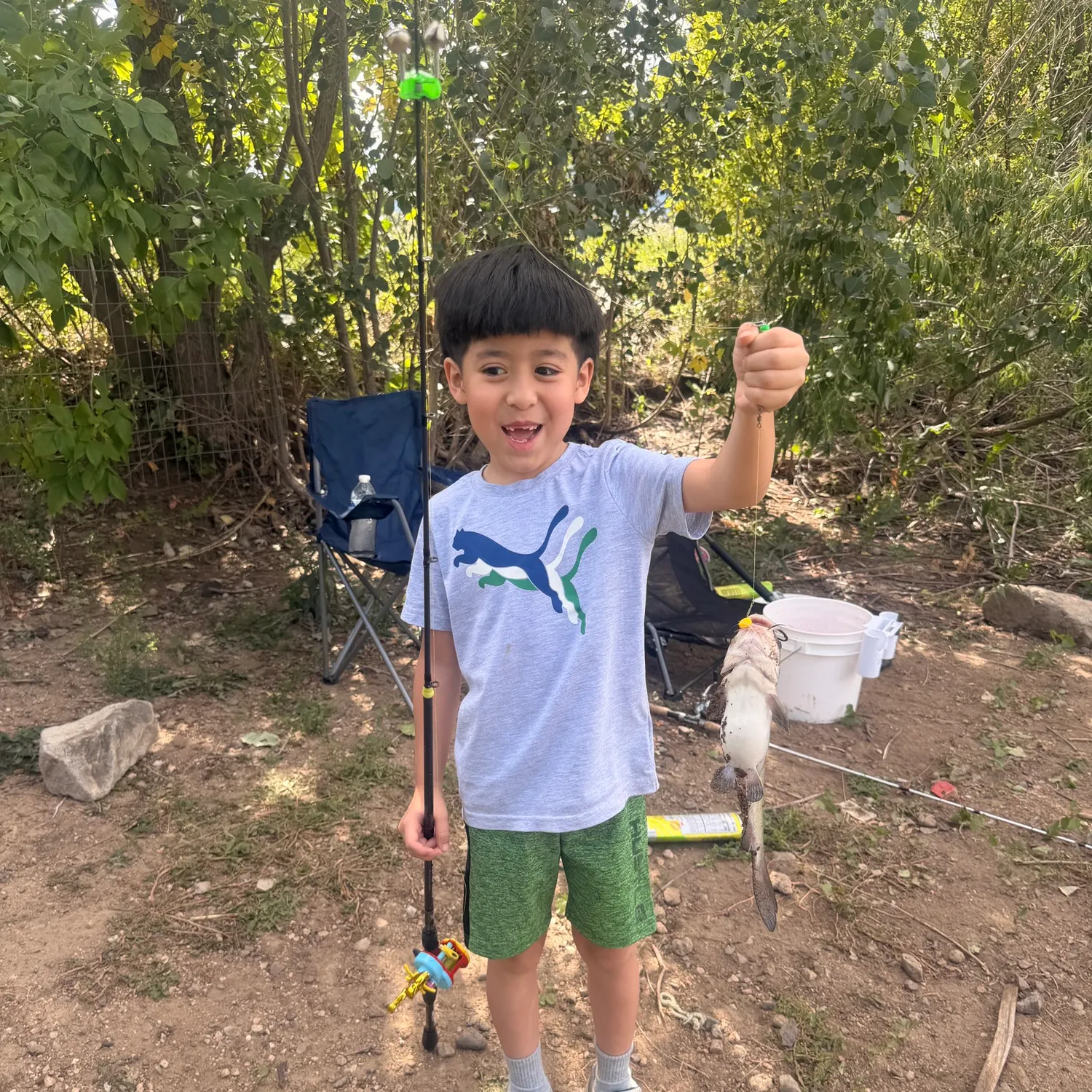 Channel catfish caught on Fishbrain