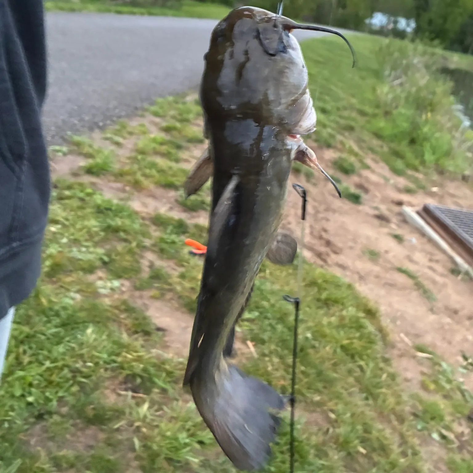 catch