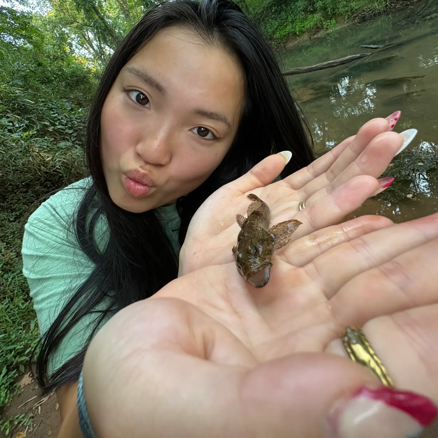 The most recent Longspined bullhead catches on Fishbrain