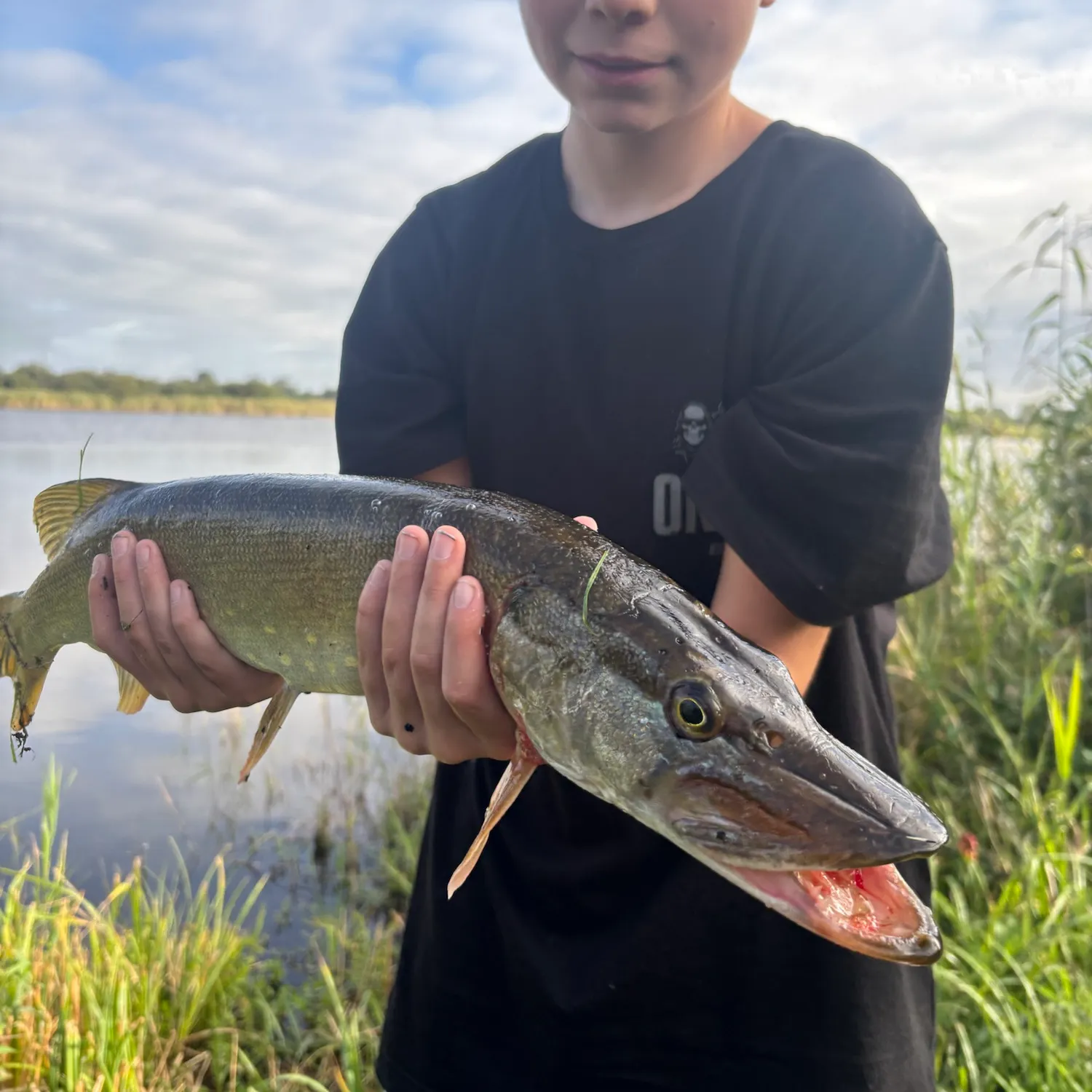 Fish caught on Fishbrain