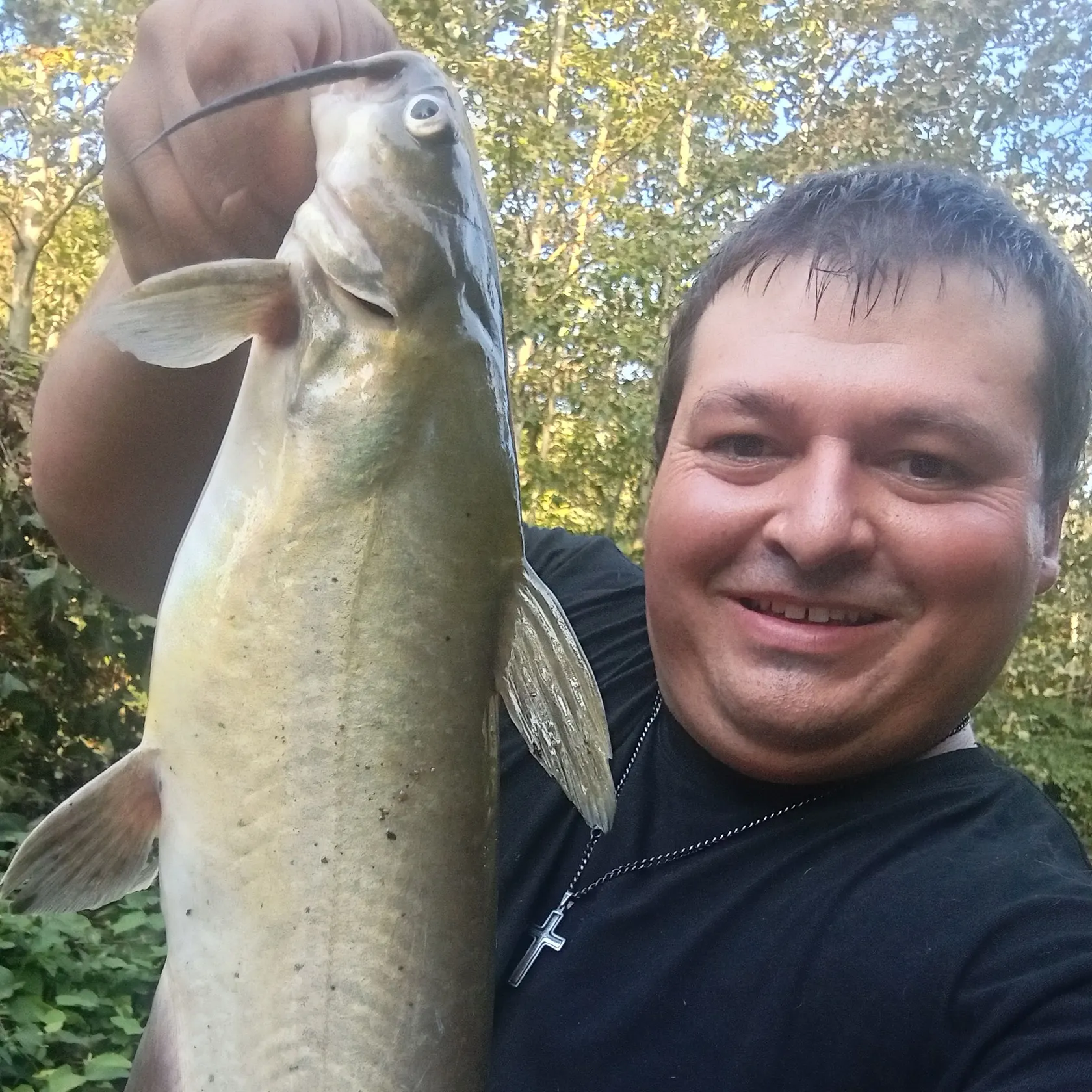 Channel catfish caught on Fishbrain