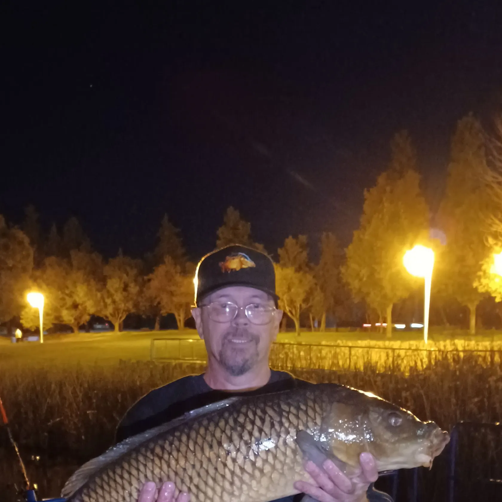 Common carp caught on Fishbrain