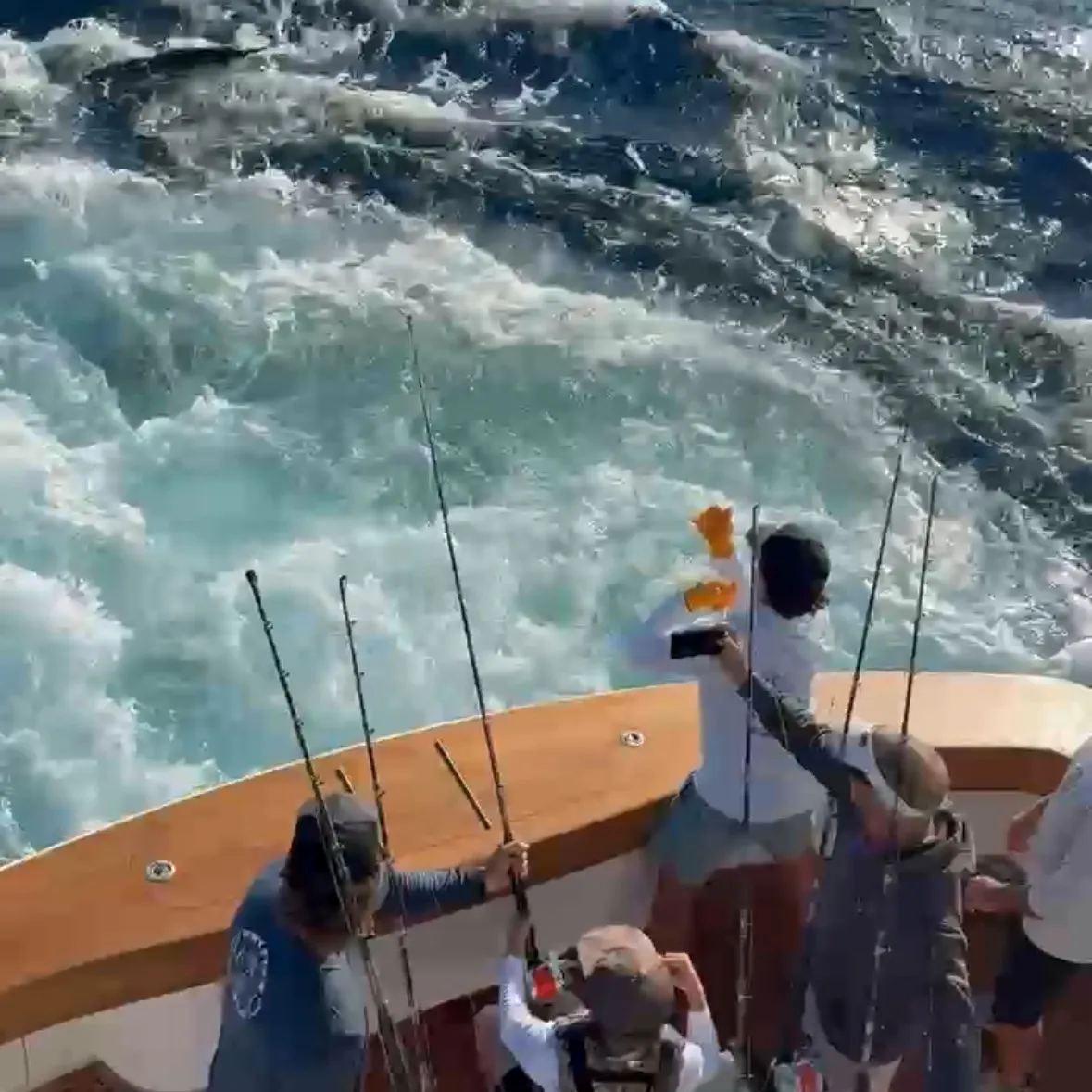 The most recent Atlantic white marlin catches on Fishbrain
