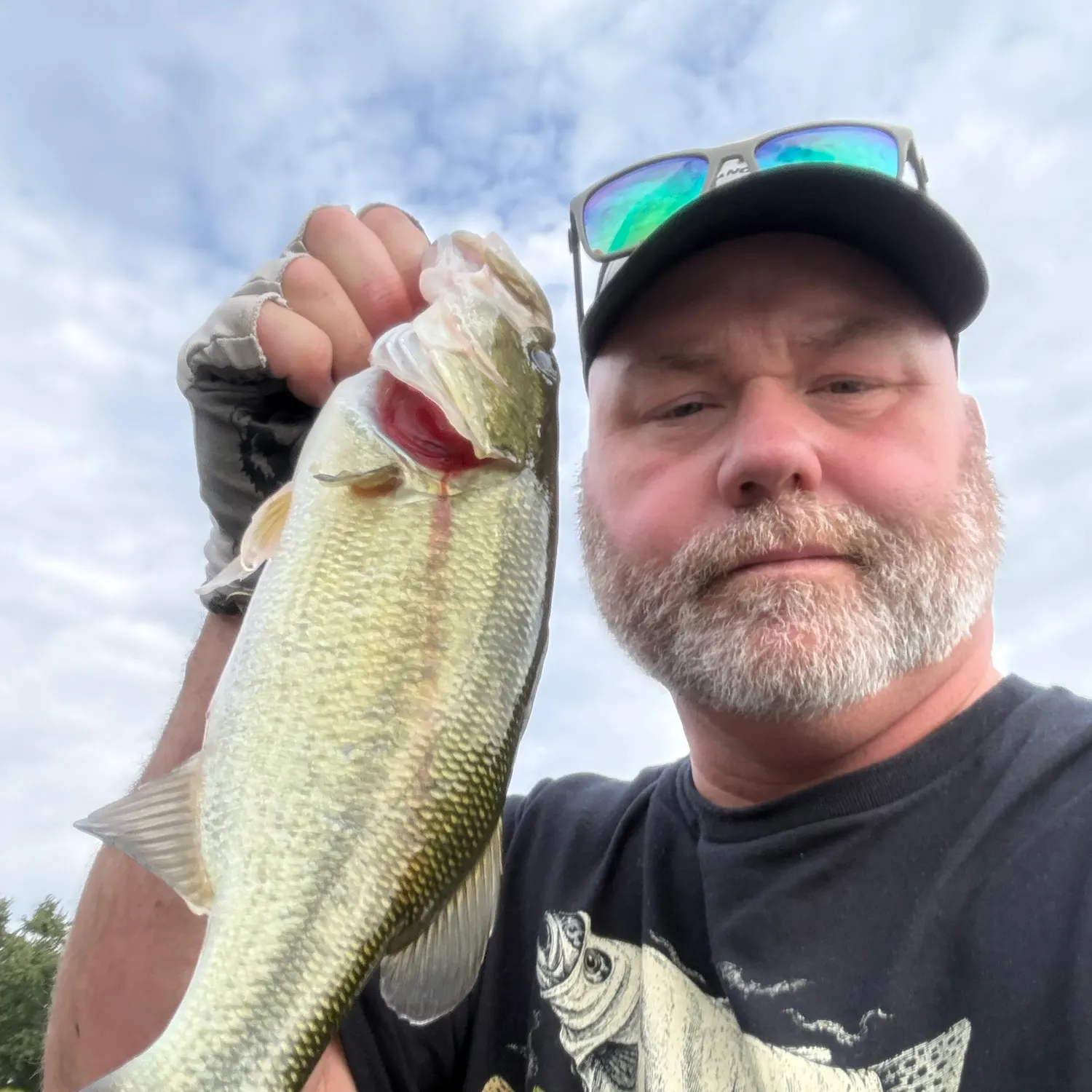 Largemouth bass caught on Fishbrain
