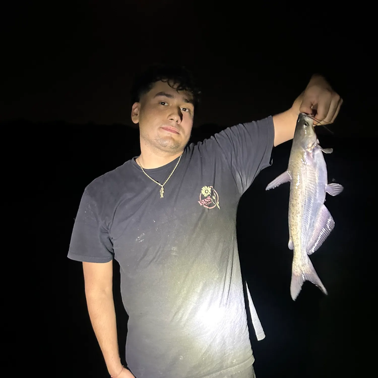 Blue catfish caught on Fishbrain