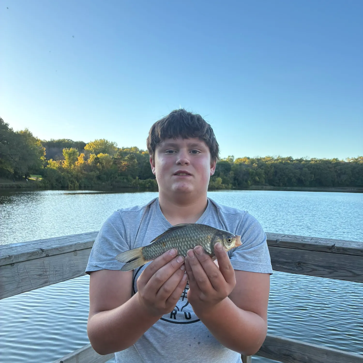 F1 carp caught on Fishbrain