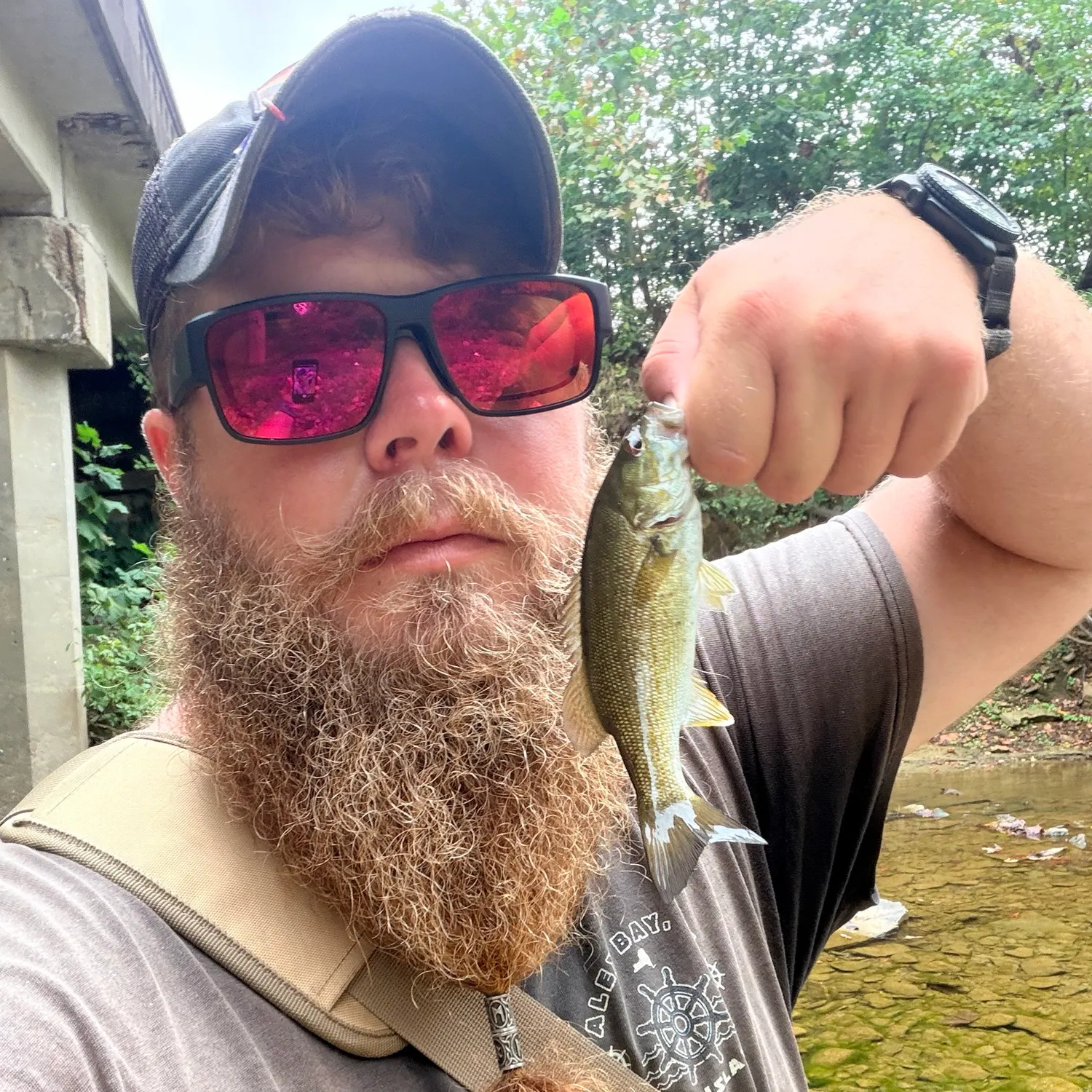 Smallmouth bass caught on Fishbrain