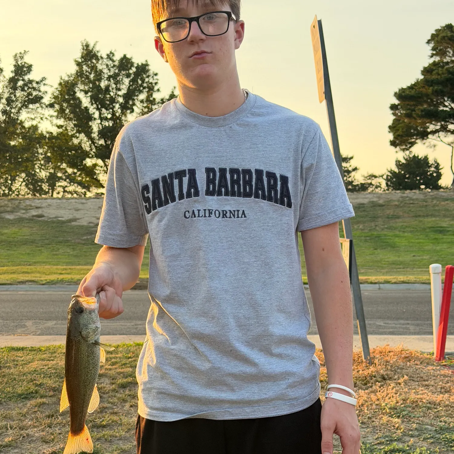 Smallmouth bass caught on Fishbrain
