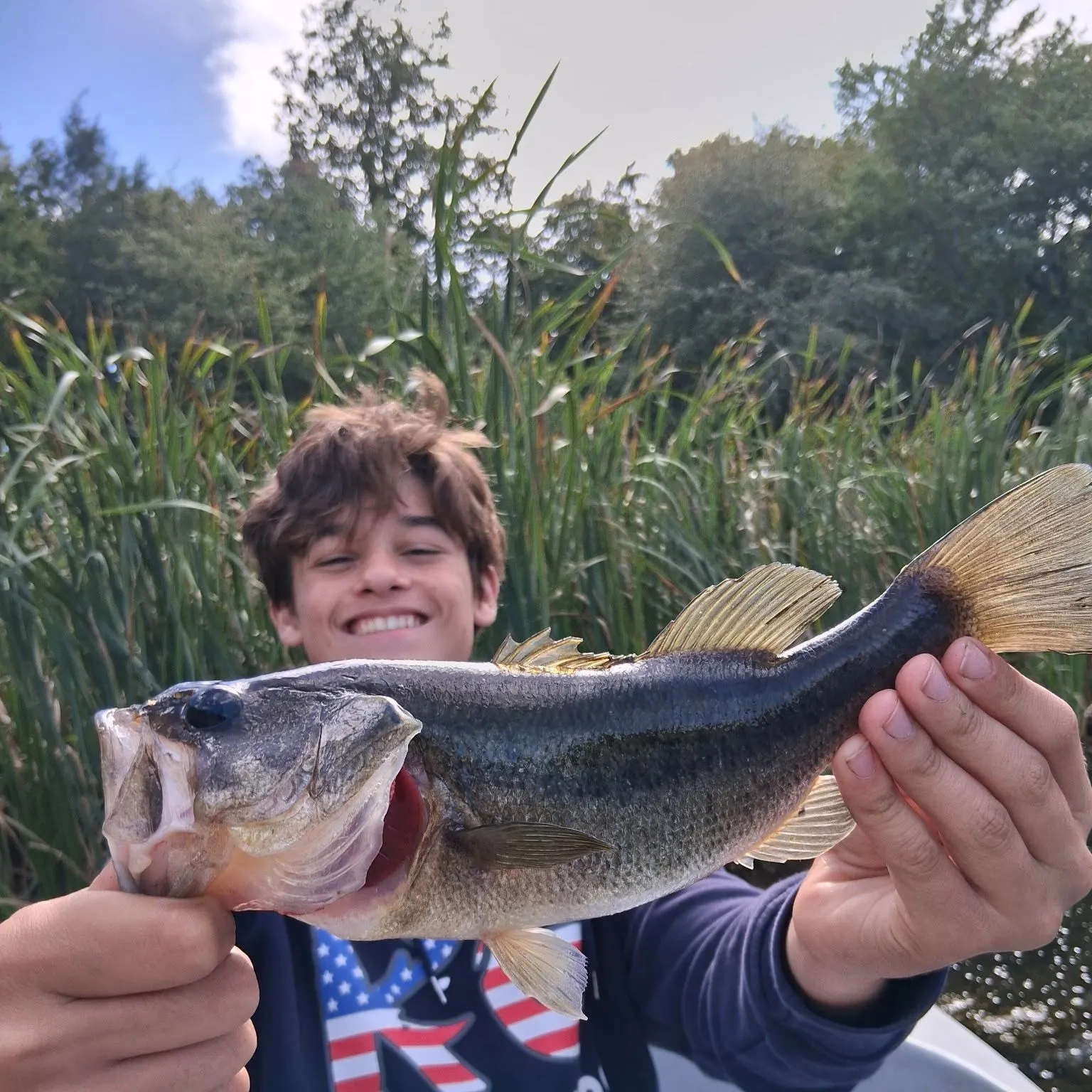 Largemouth bass caught on Fishbrain