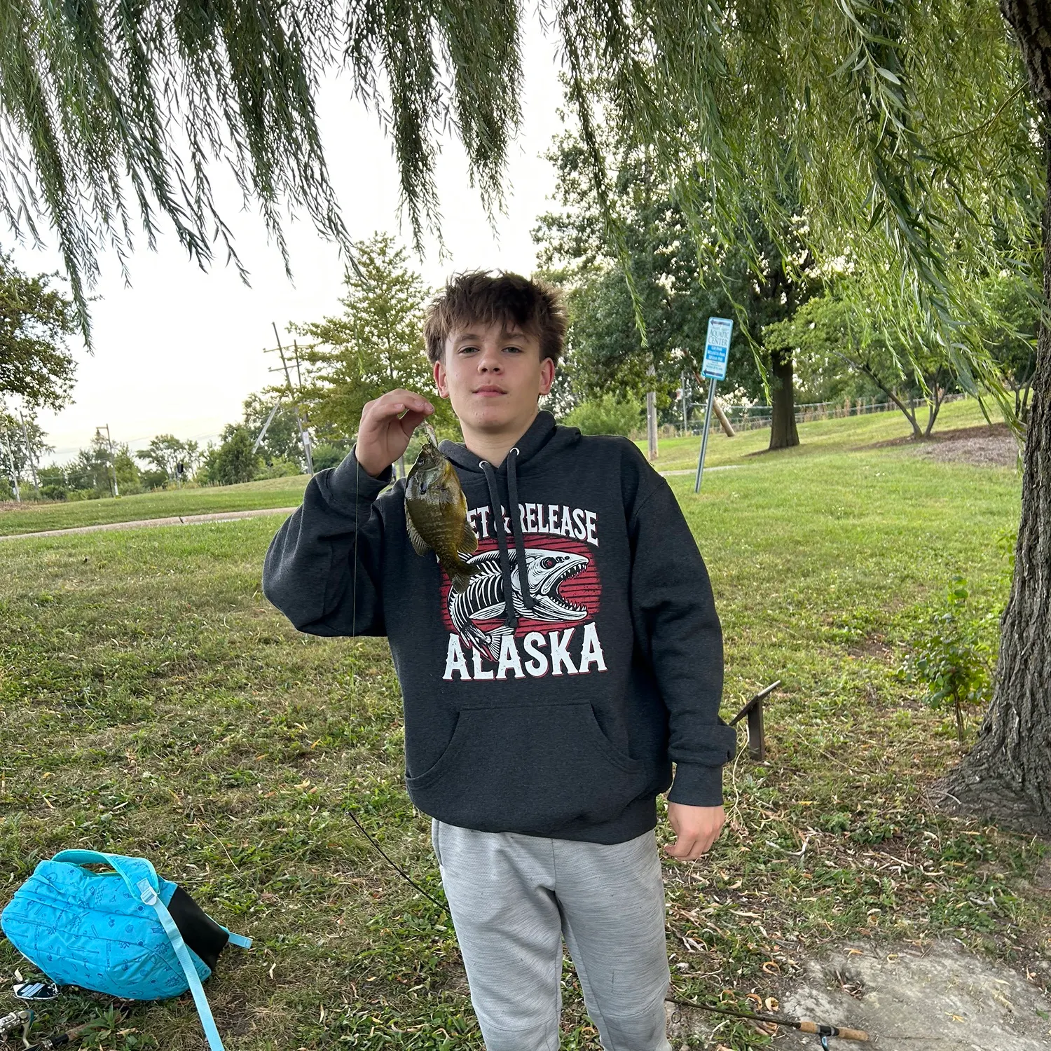 Bluegill caught on Fishbrain
