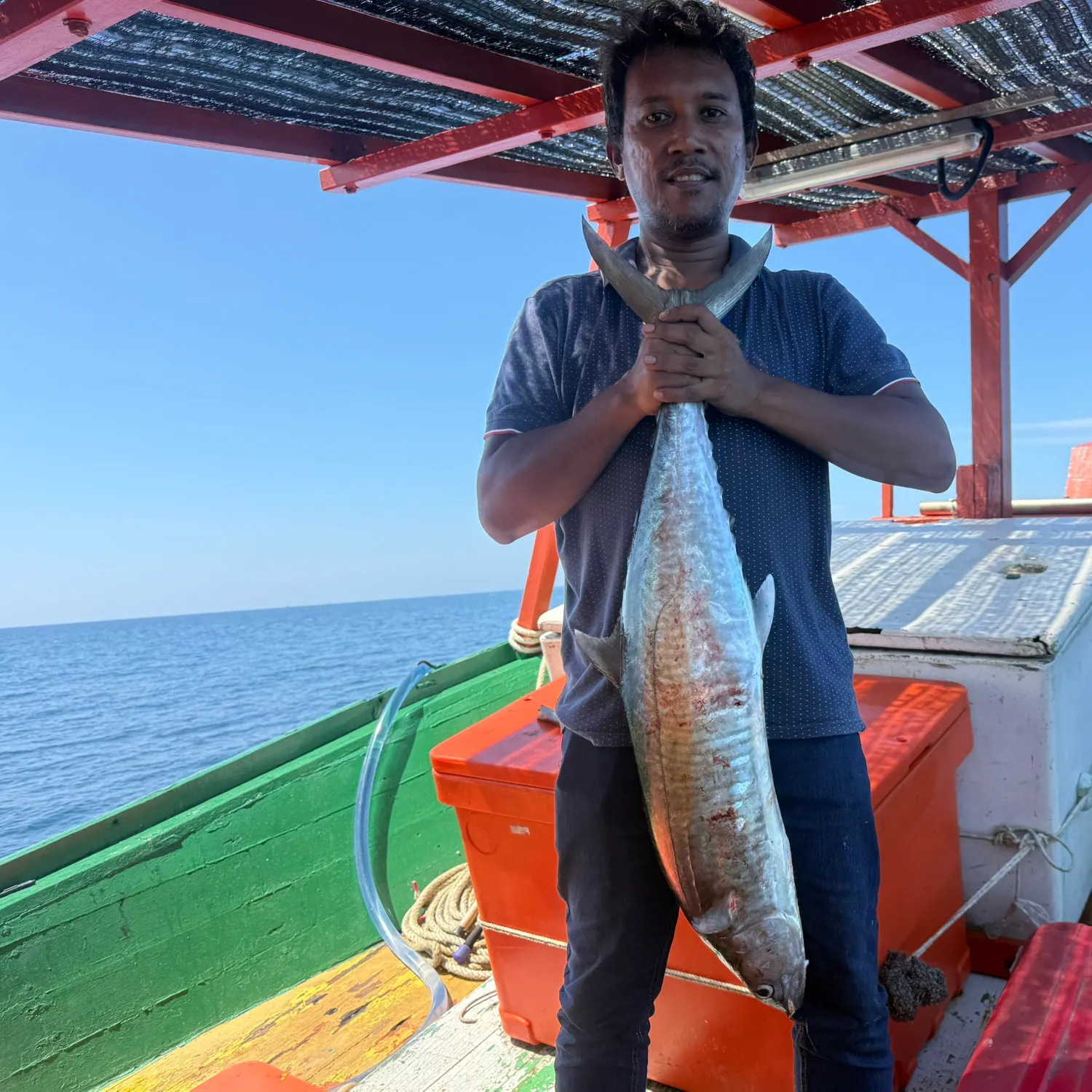 The most recent Korean seerfish catches on Fishbrain