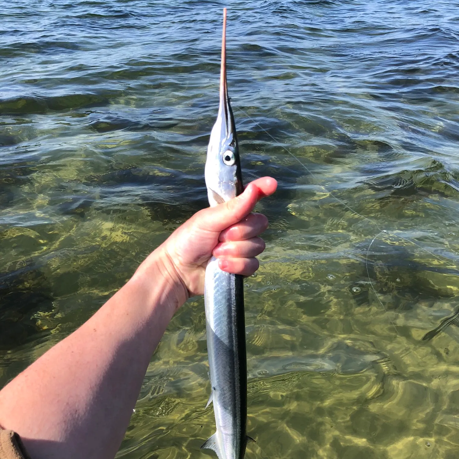 most liked catch image