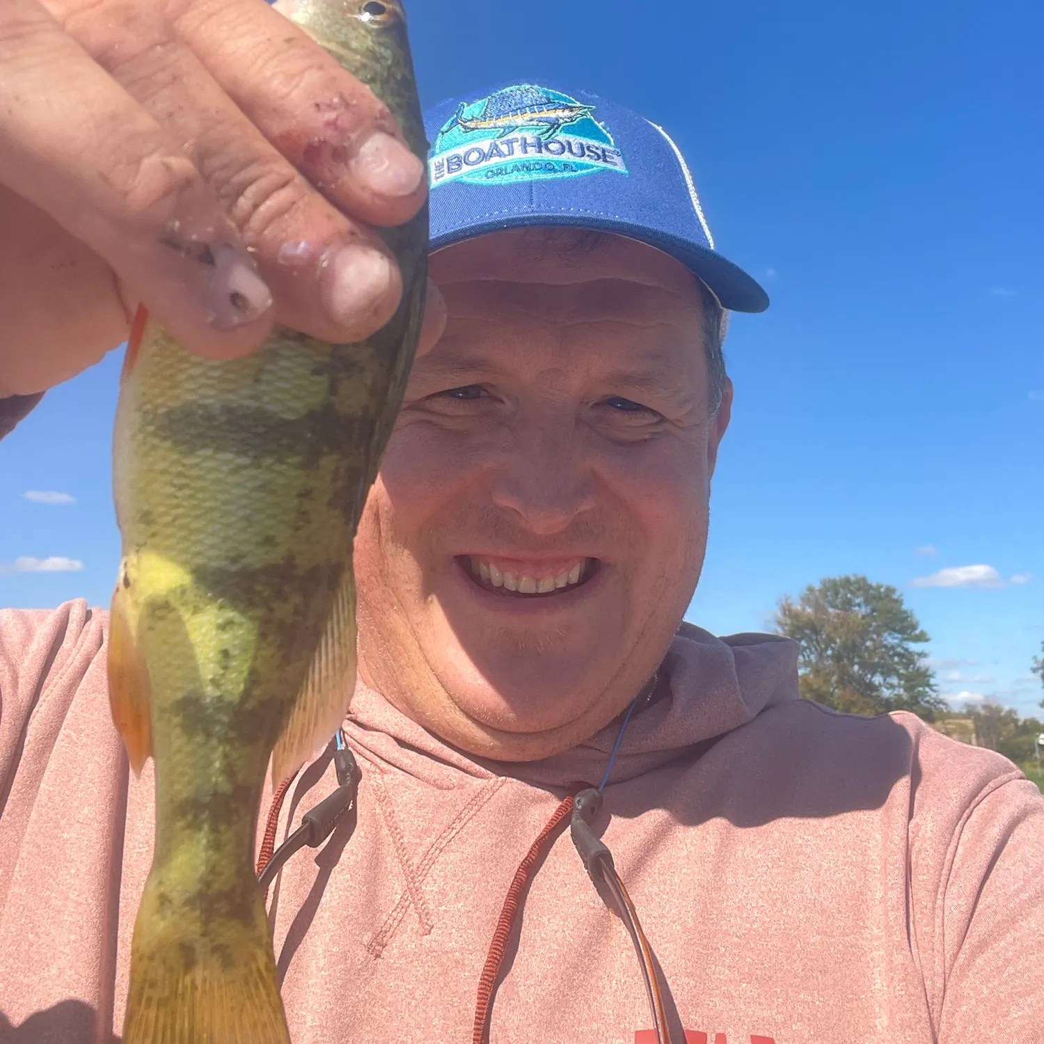 Yellow perch caught on Fishbrain