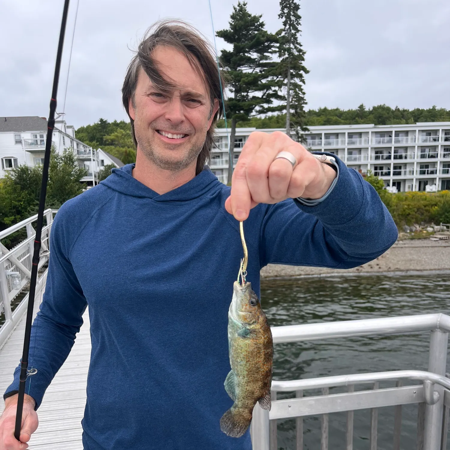 The most recent Cunner catches on Fishbrain
