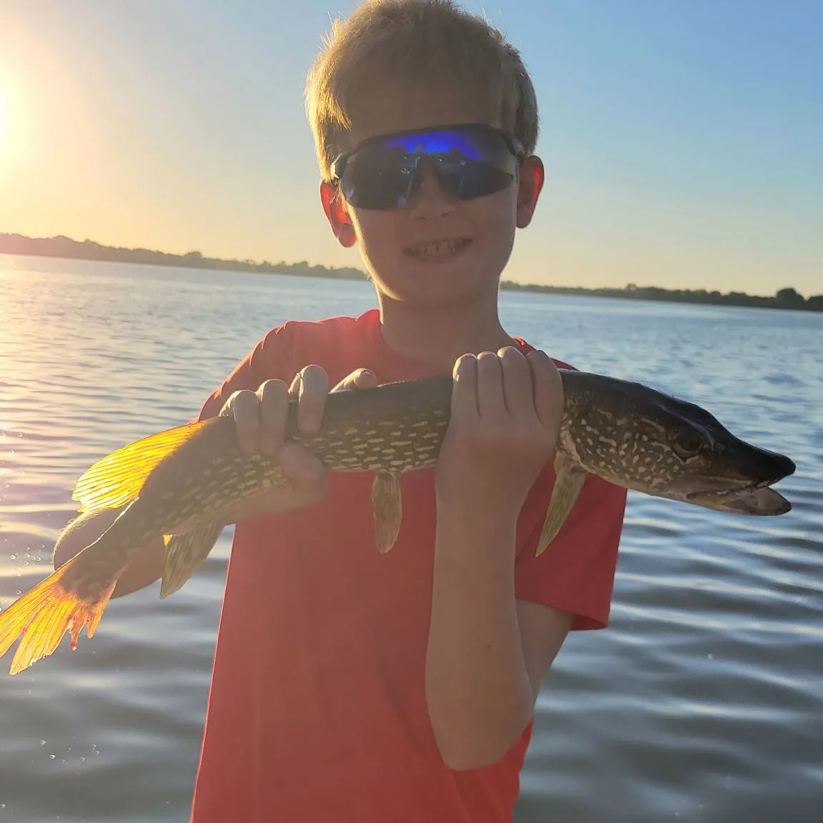 Northern pike caught on Fishbrain