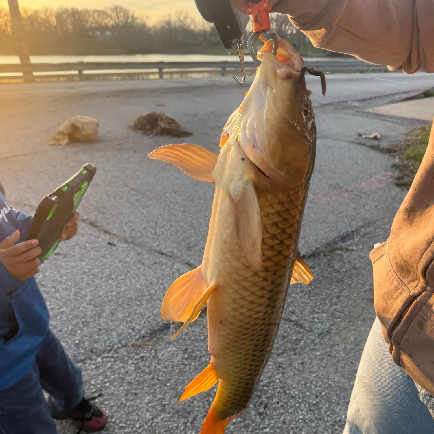 catch