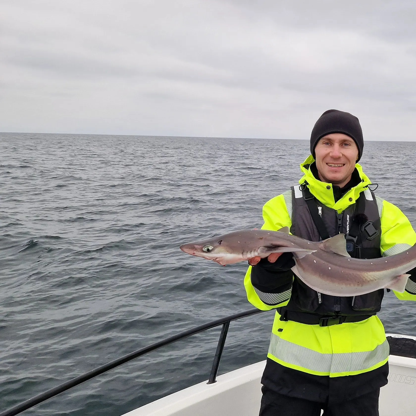 The most recent Piked dogfish catches on Fishbrain