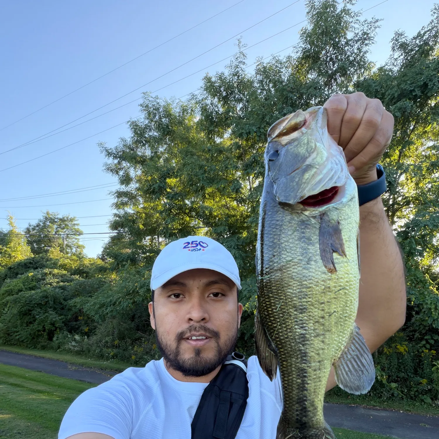 Largemouth bass caught on Fishbrain