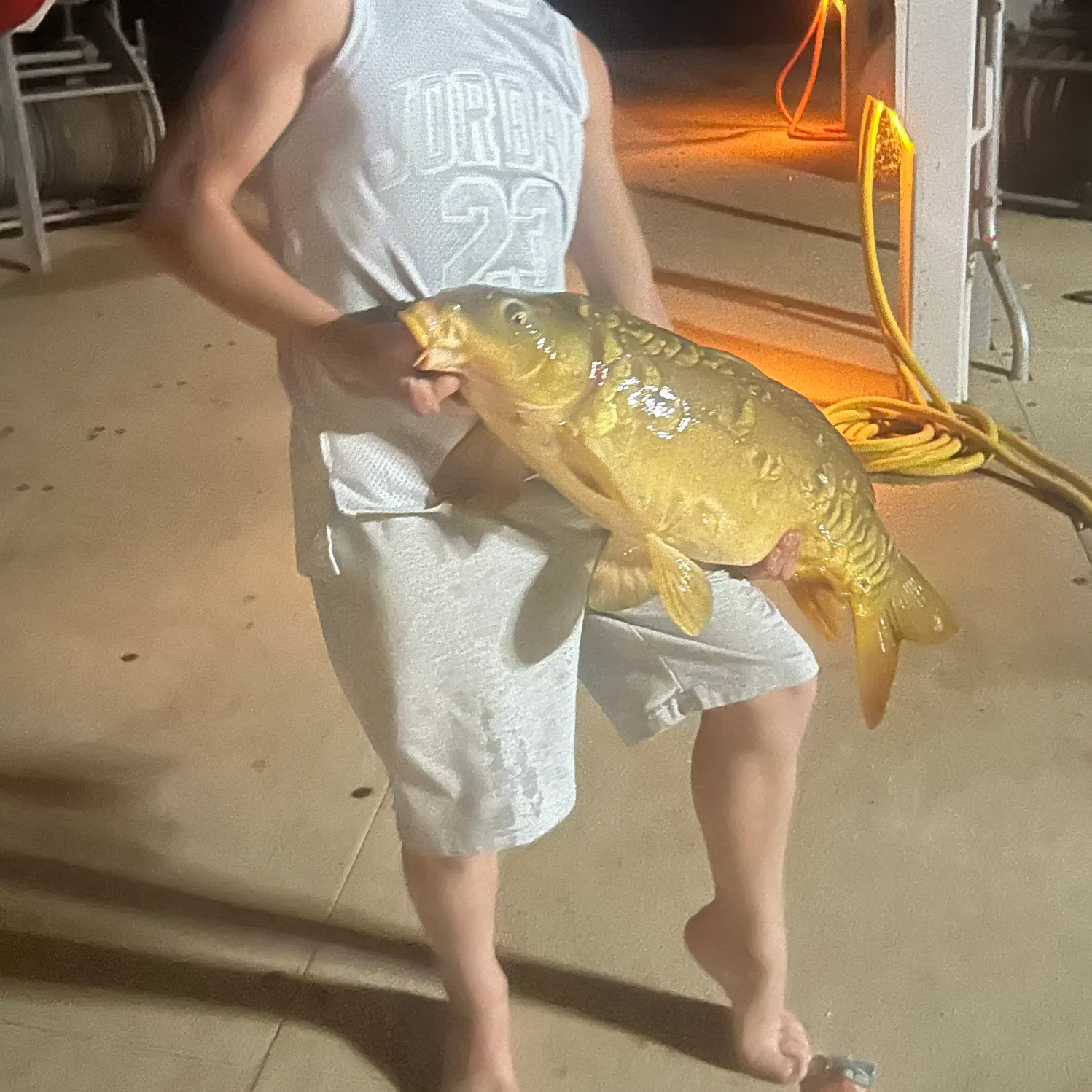 The most recent Mirror carp catches on Fishbrain