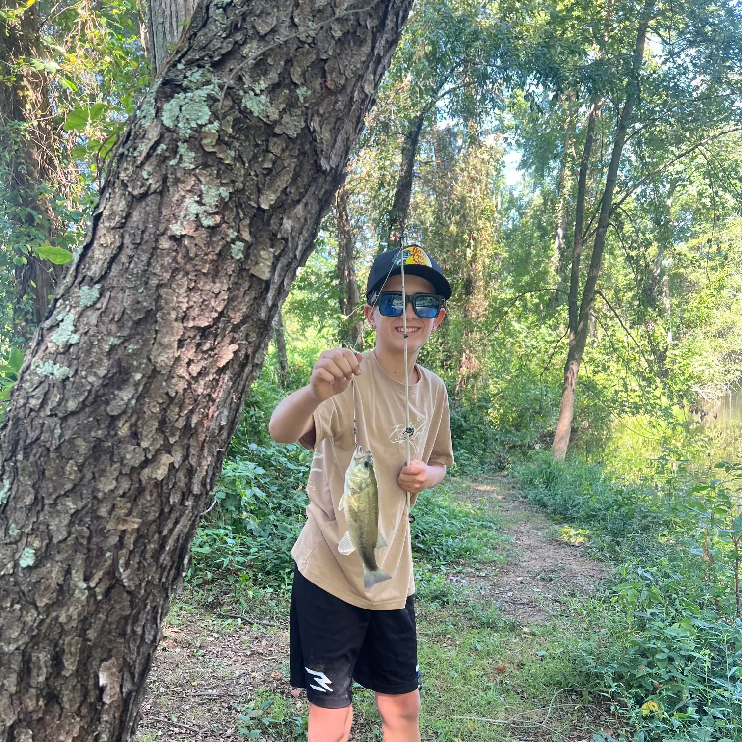 Spotted bass caught on Fishbrain