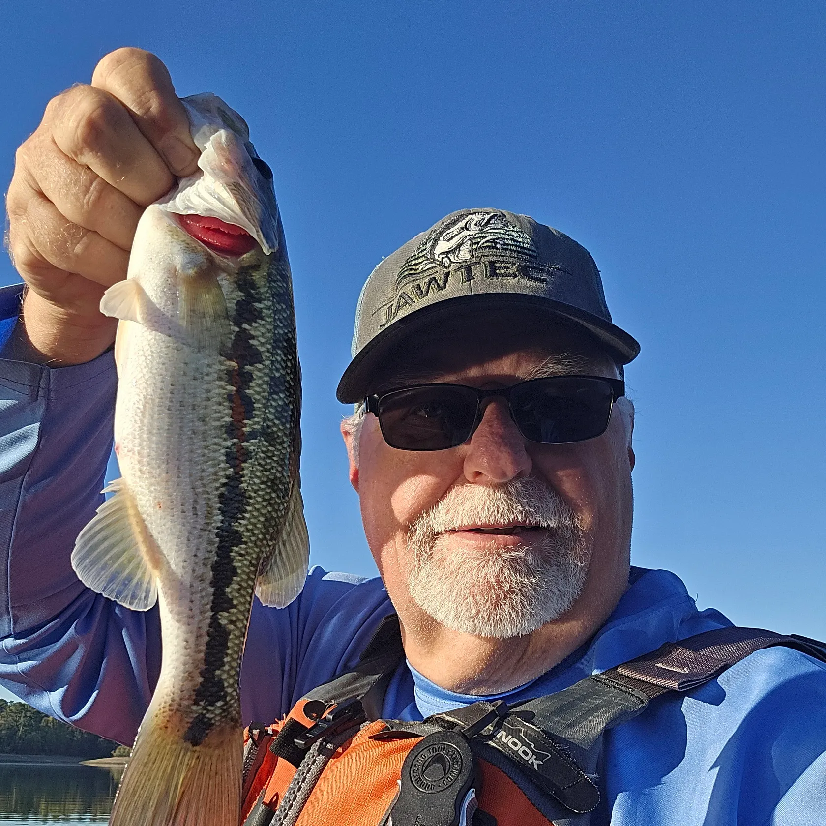 Spotted bass caught on Fishbrain