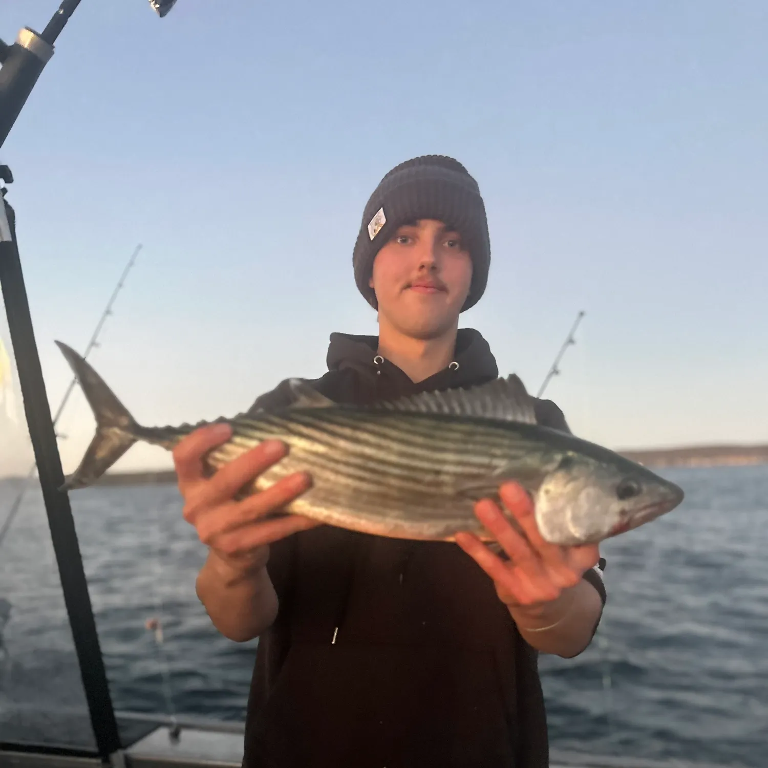 The most recent Australian bonito catches on Fishbrain