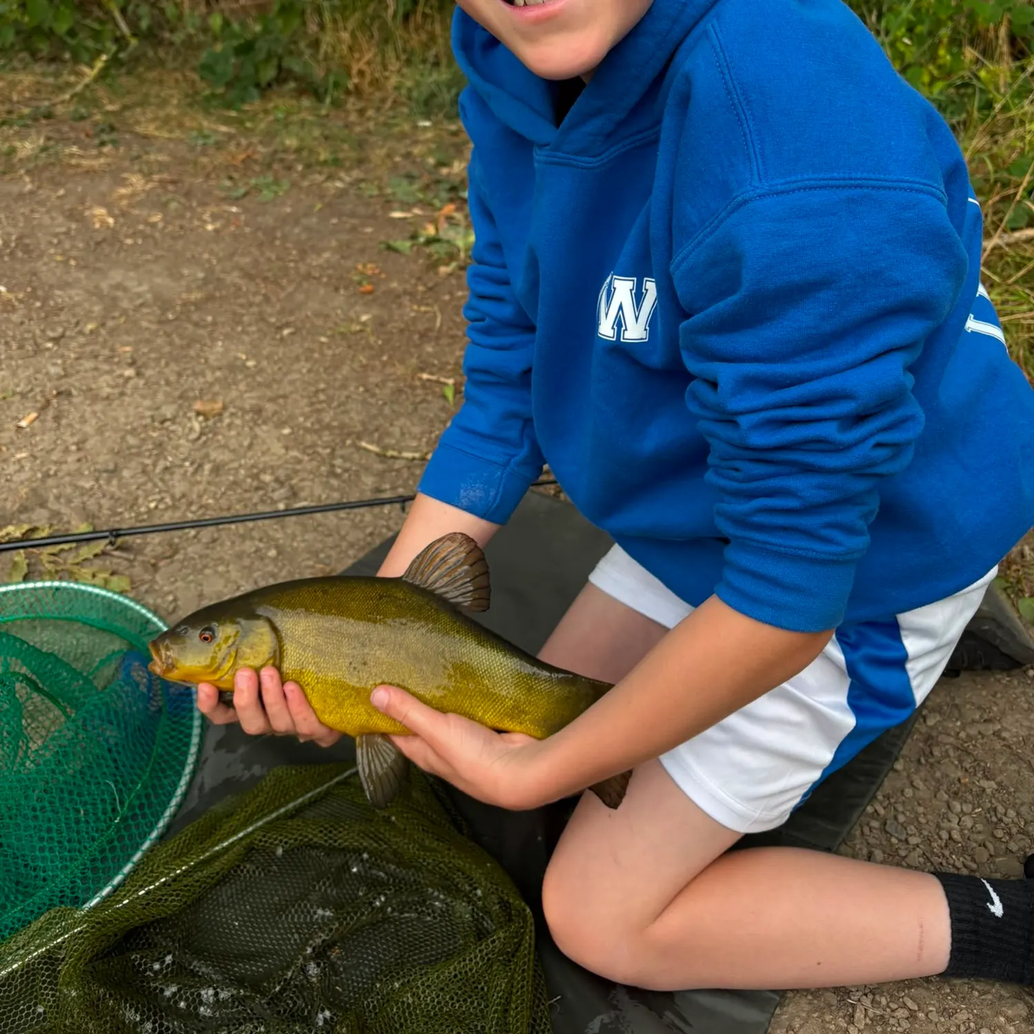 The most recent Tench catches on Fishbrain