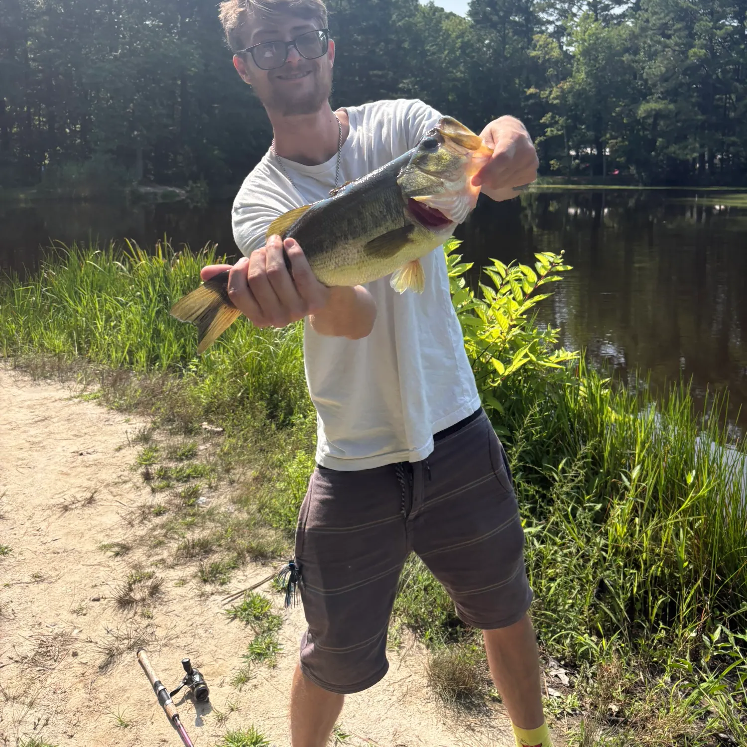 Largemouth bass caught on Fishbrain