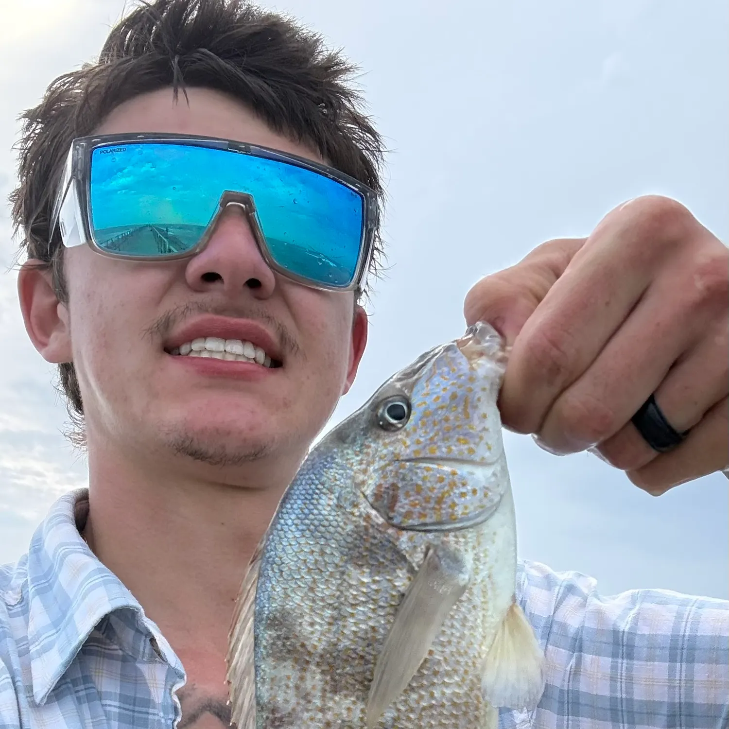 The most recent Pigfish catches on Fishbrain
